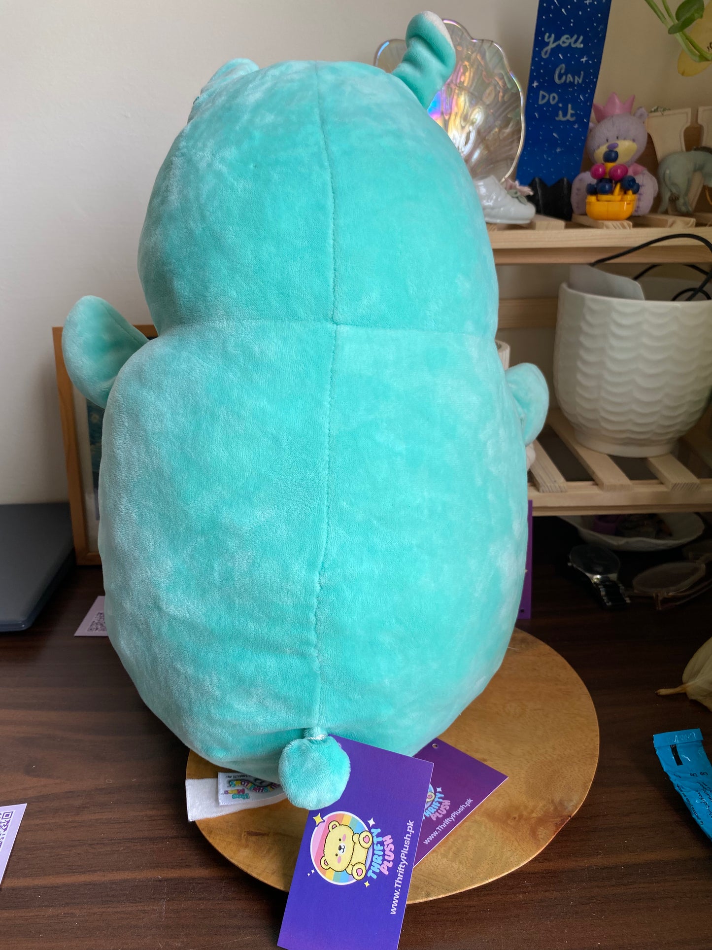 Squishmallows Hug Mees "Pierre" the Alpaca Plush Bunny Rabbit Plush Green Mint Aqua Carrot Pillow 18” Kellytoy