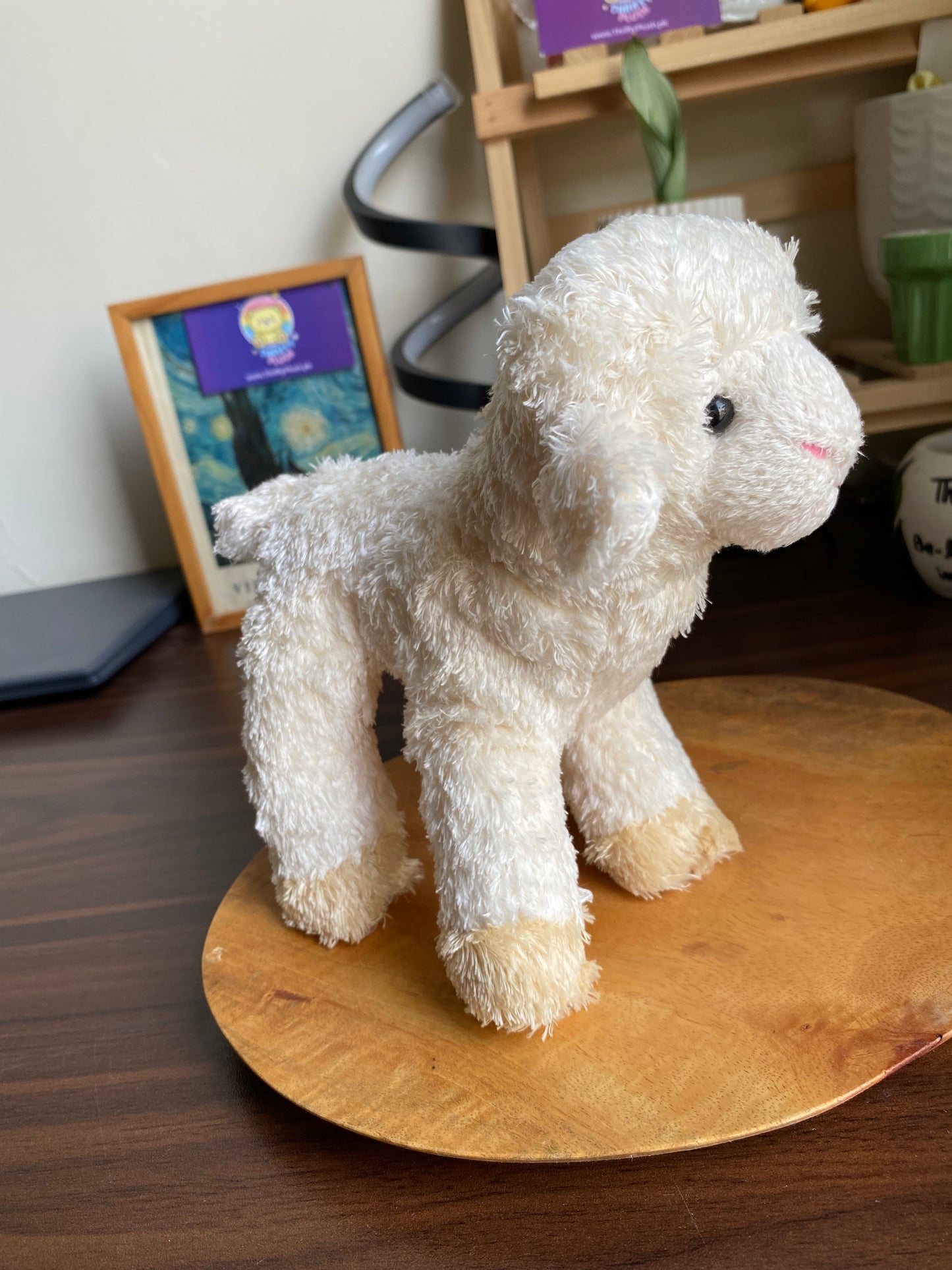 Cute White Lamb