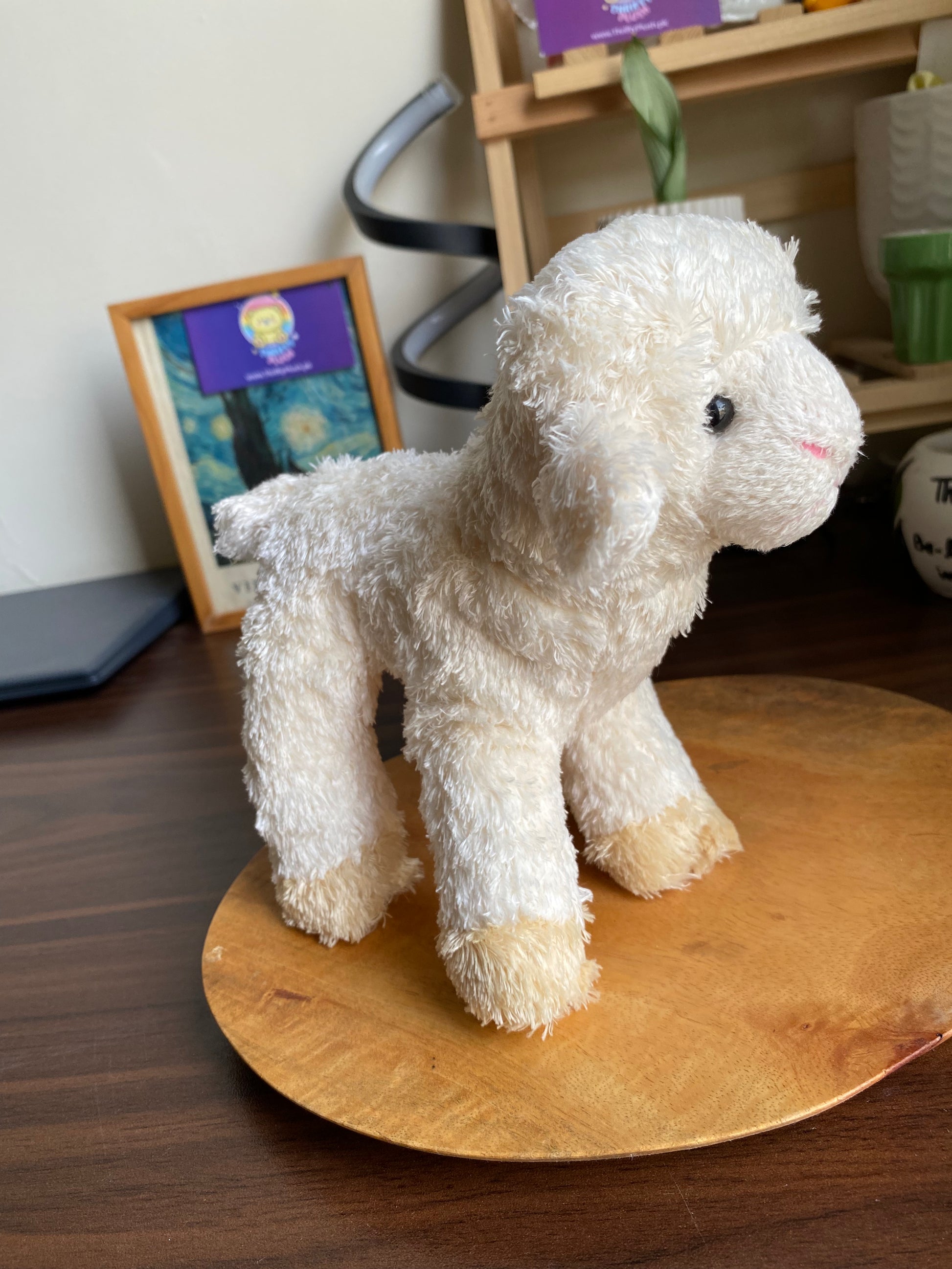 Cute White Lamb