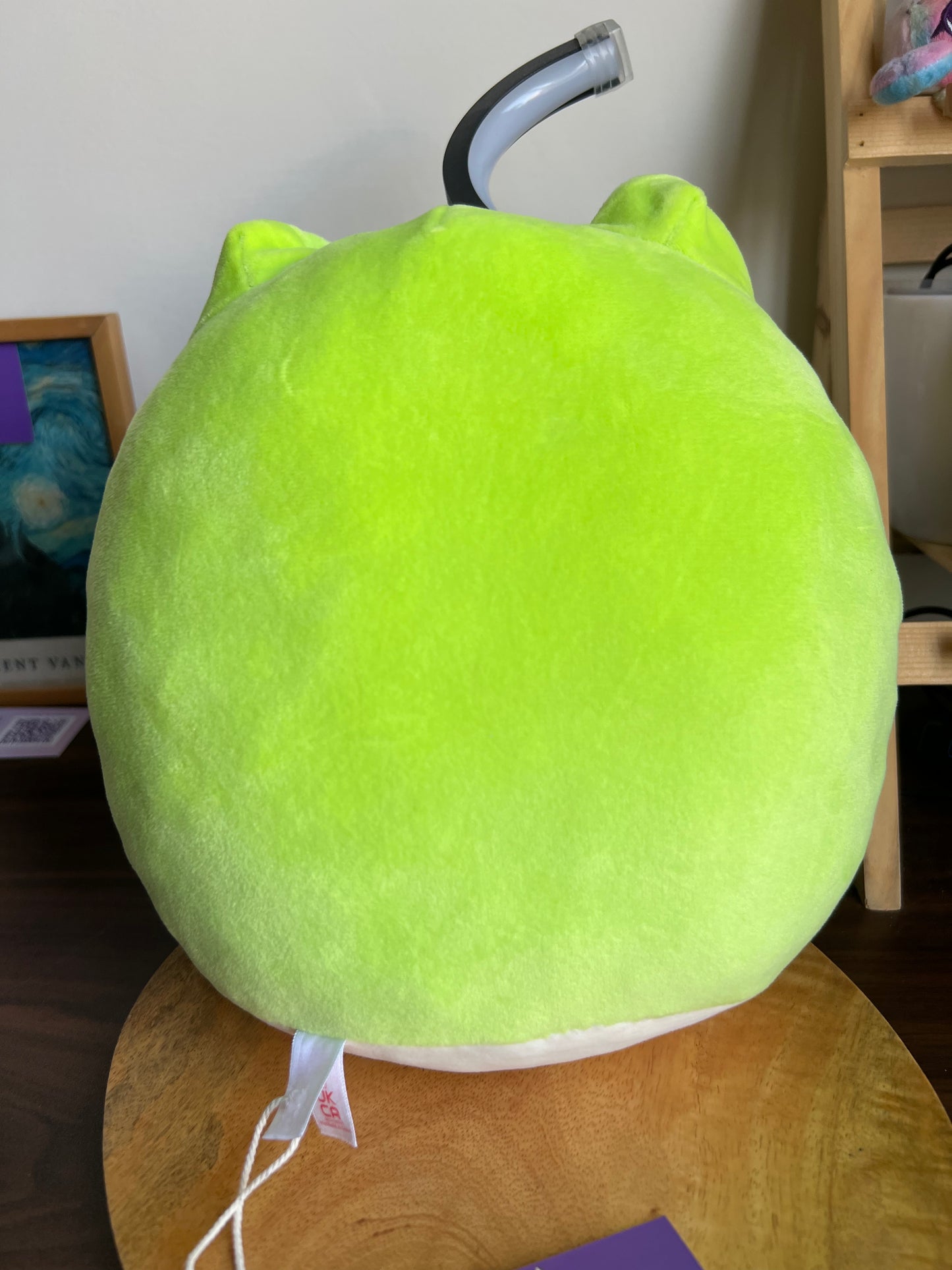 TY Snapper Frog Squishy Beanie, A soft, cuddly