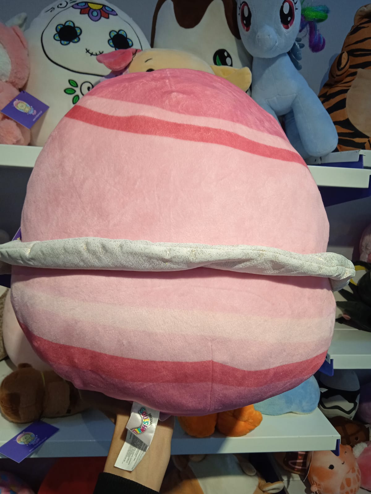 Zuzana the Pink Planet Push toy