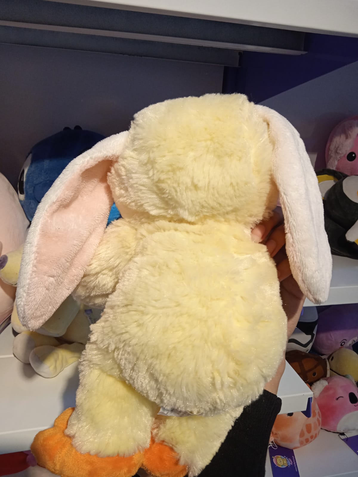 Cuddle Me Close" Easter Bunny & Duck Plush Toy
