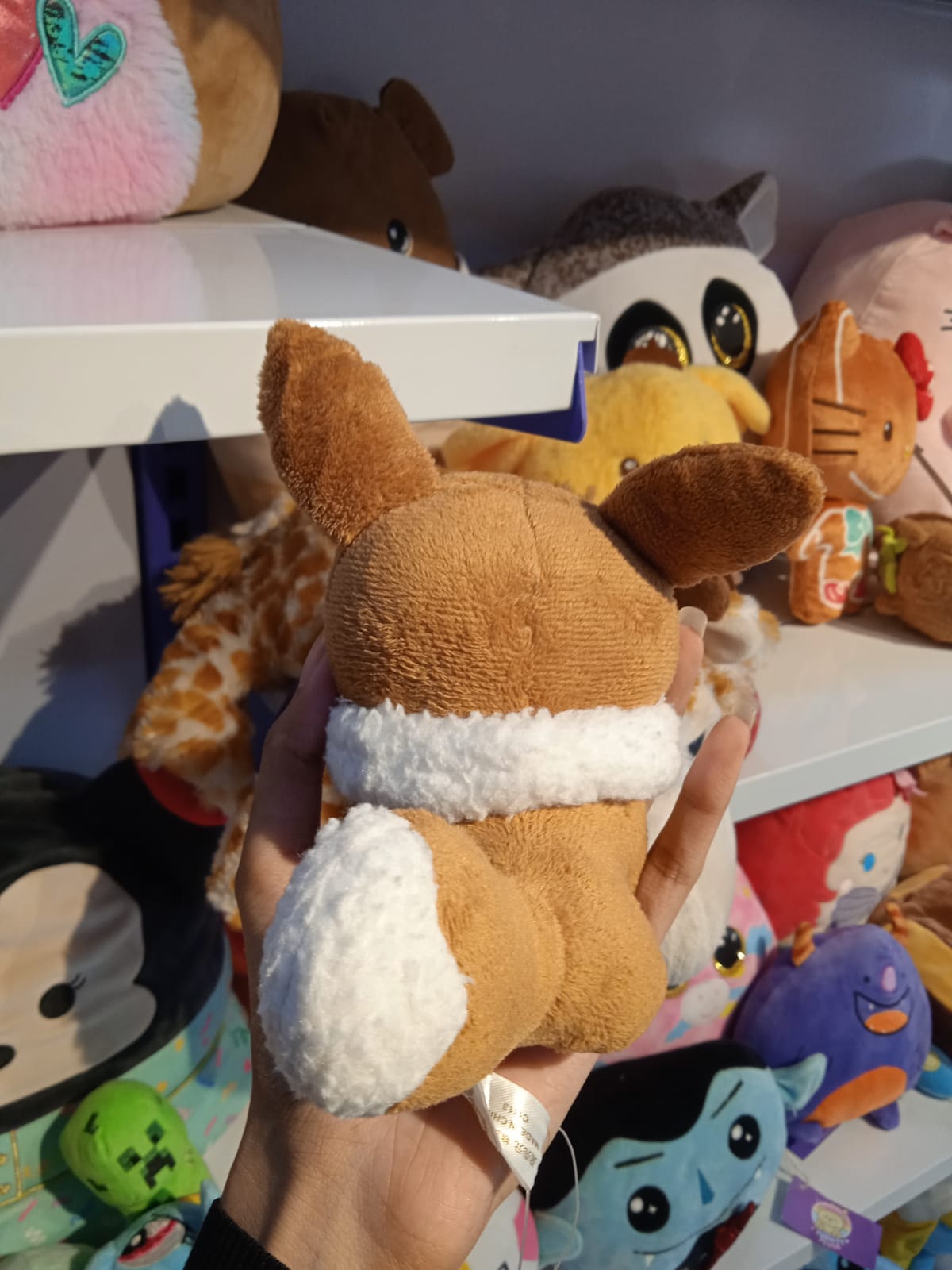 The Pokémon Company / Pokémon Center Original