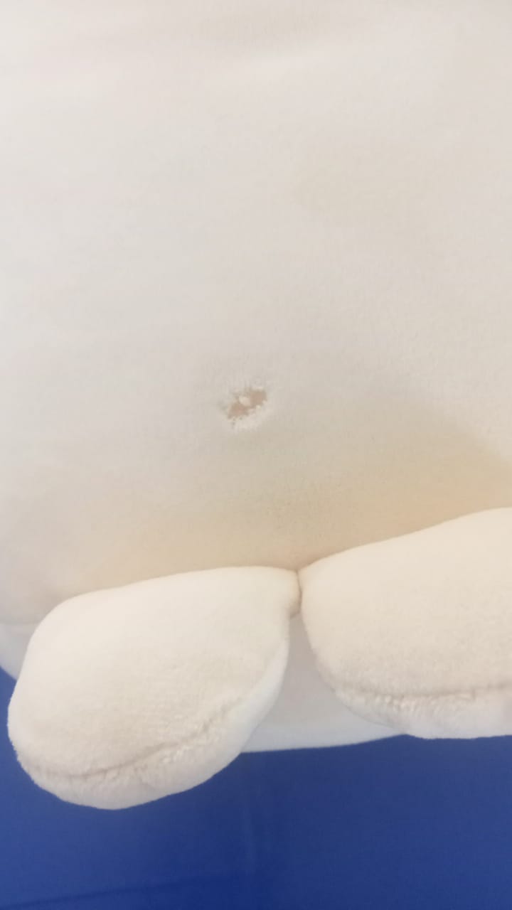 Bunniroll Plush Toy