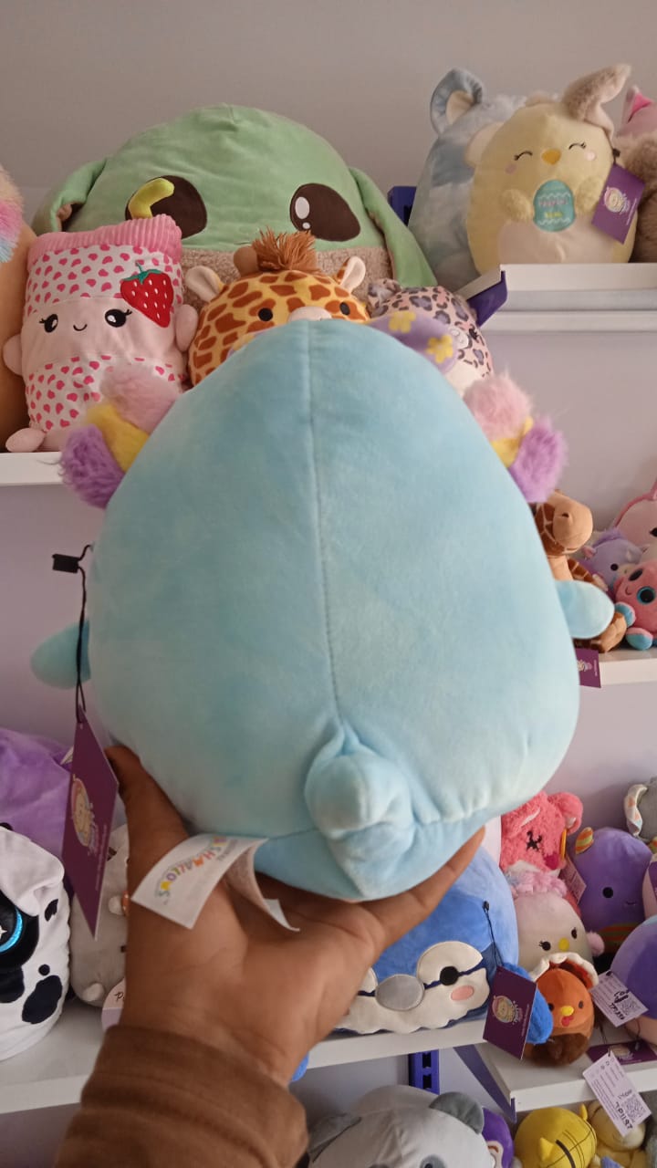 Axolotl from the Squishmallows brand.