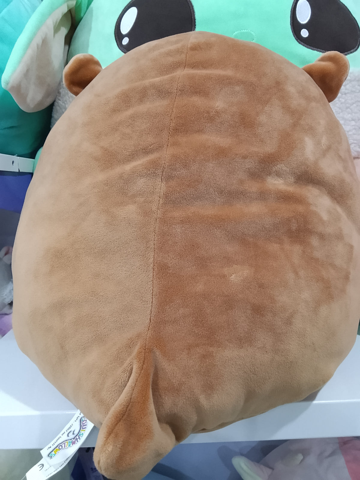Squishmallows plush toy, specifically the character Joanne the Sea Otter.