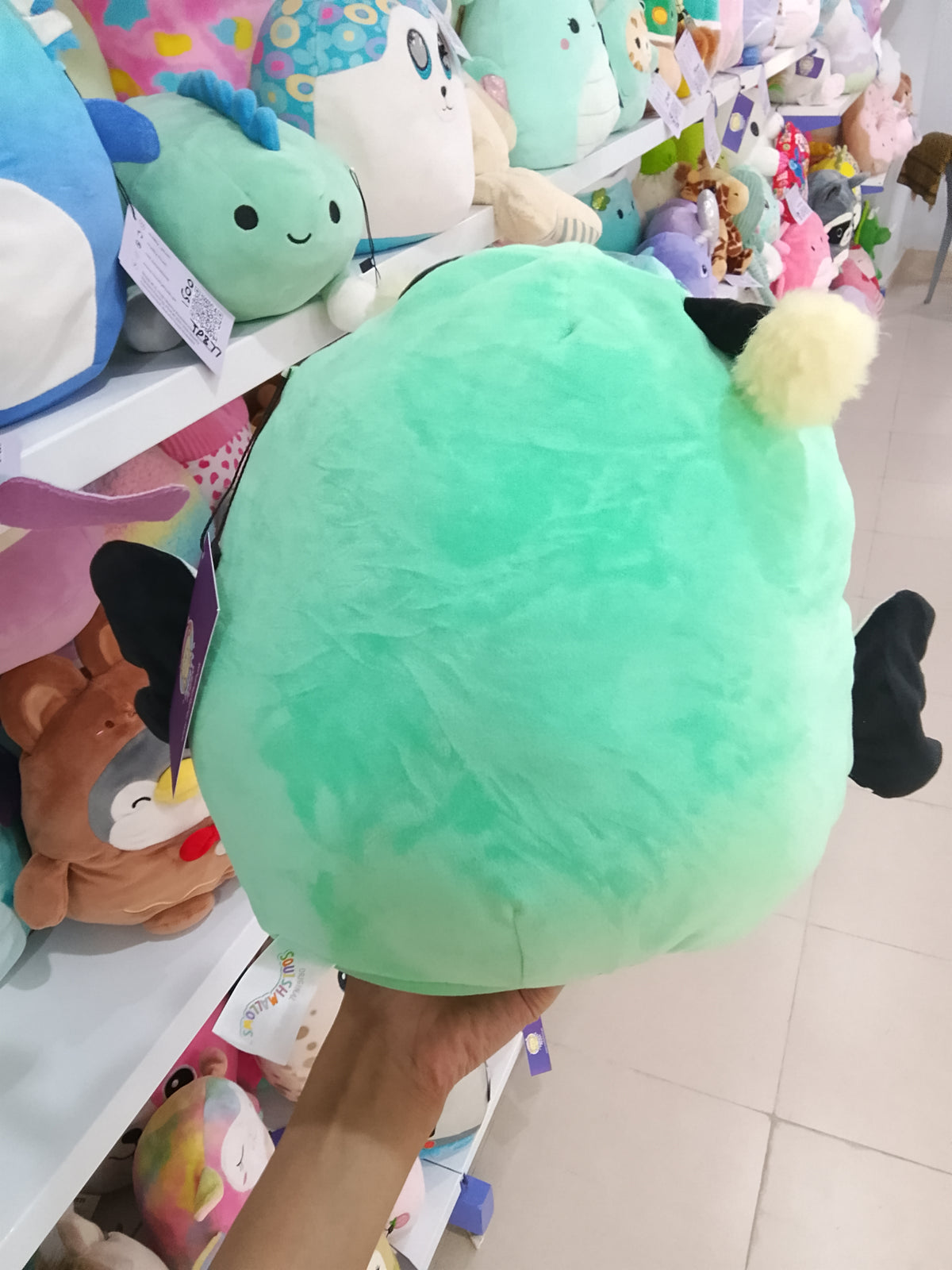 Squishmallows plush toy featuring Reina the Butterfly in a green color.