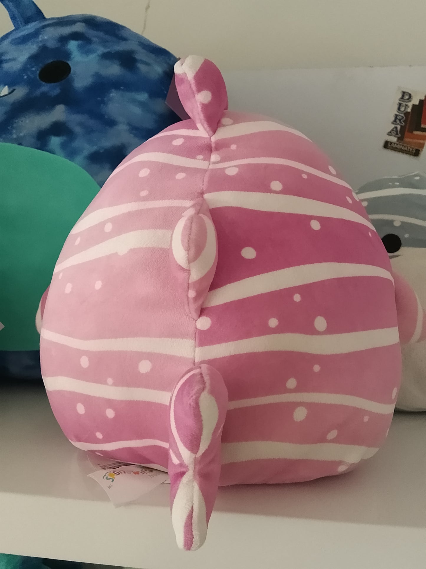 Squishmallows plush toy Aidy the Whale Shark