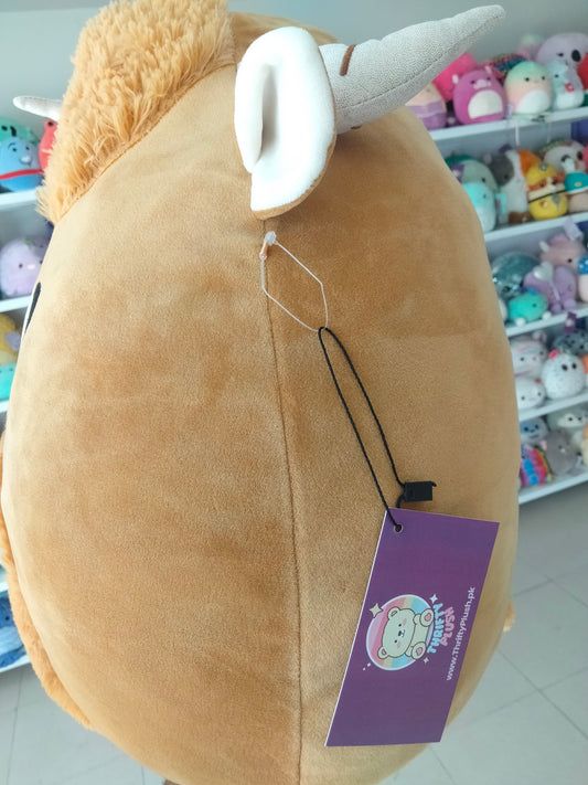 Wilfred the Highland Cow.