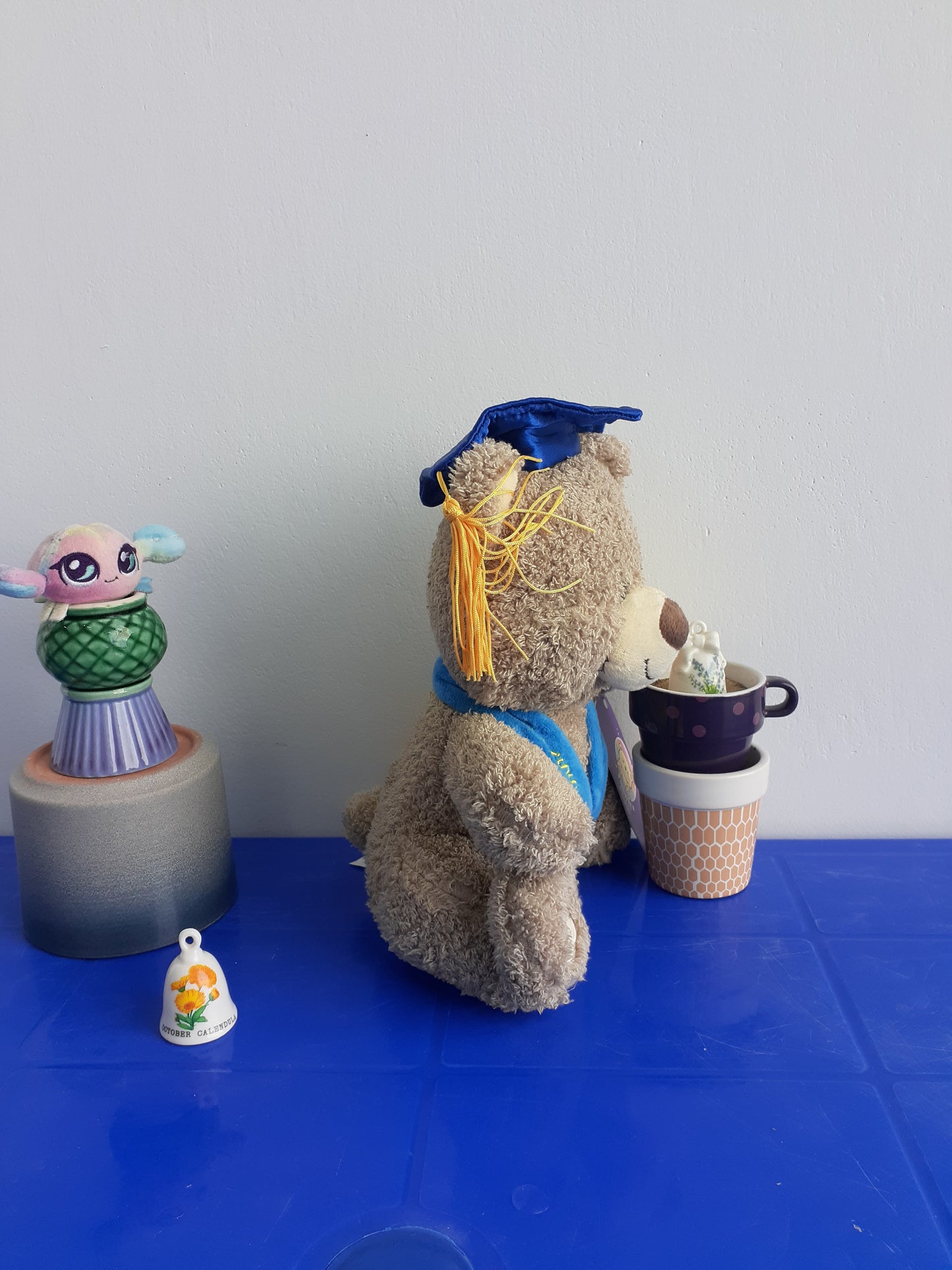 Celebrate Graduation 2023 Plush Brown Bear with Cap