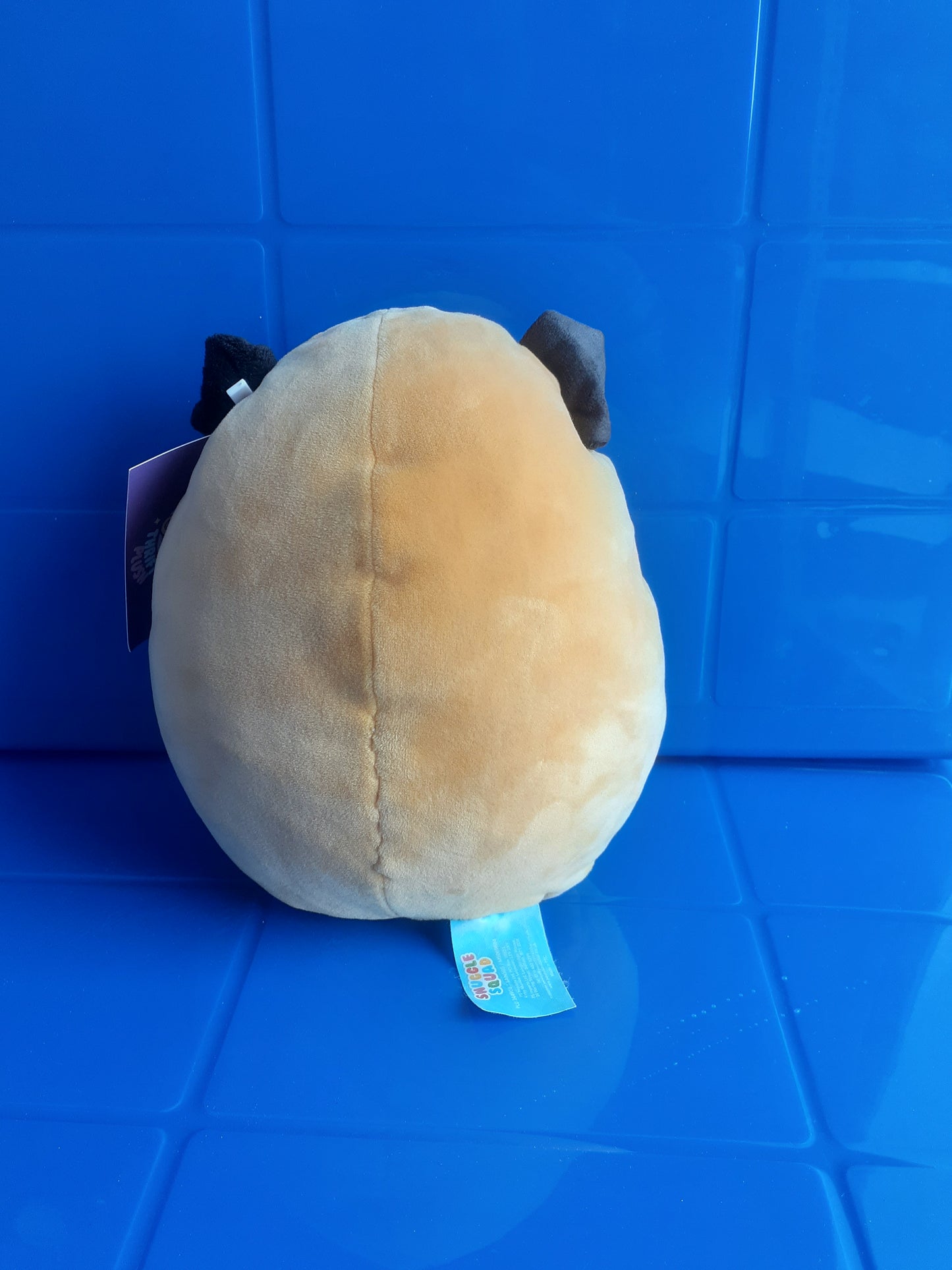 Squishmallow Plush Toy, Specifically "Prince The Pug".