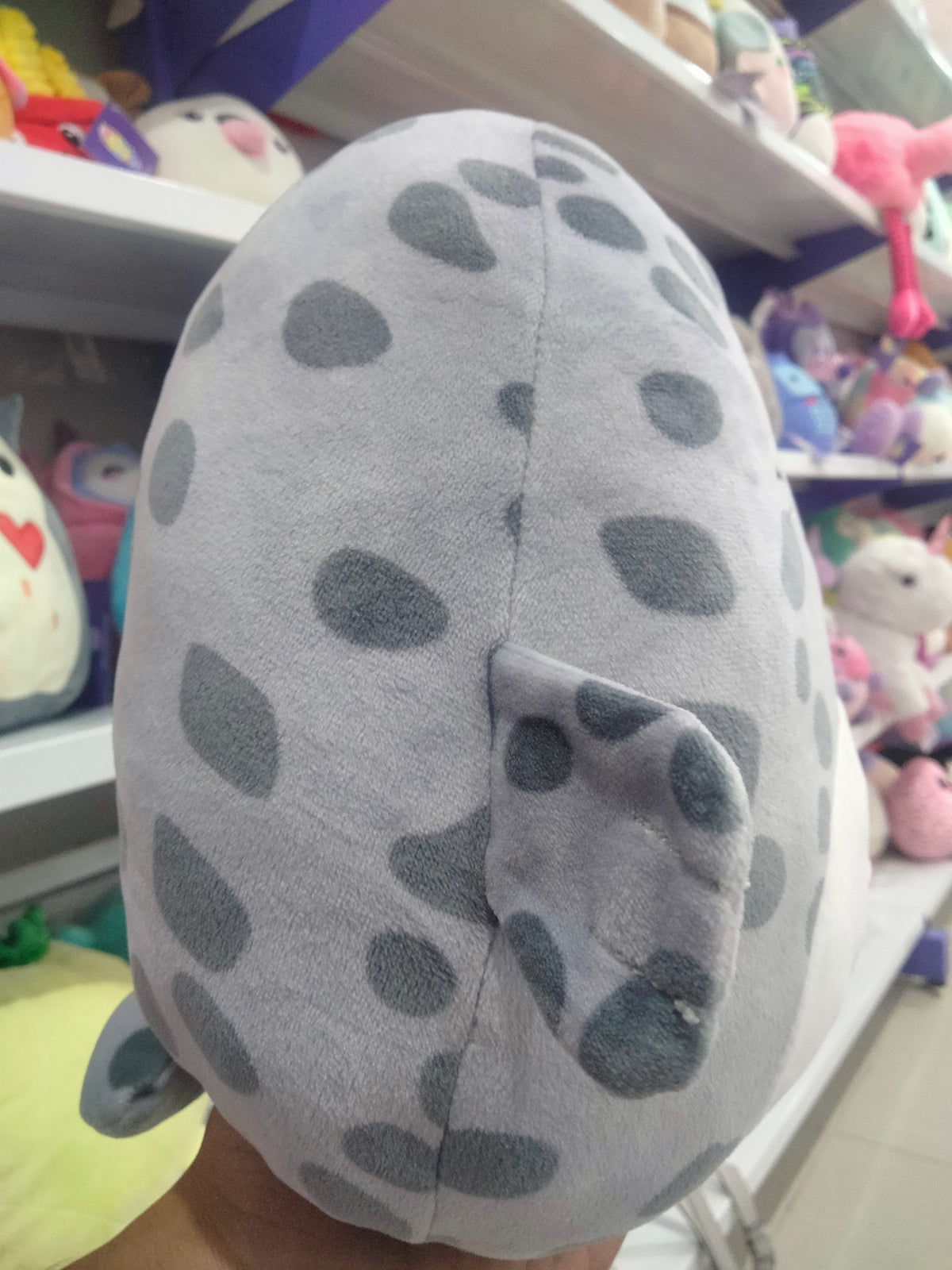 Squishmallowsplush stuffed animal Odile the Seal.