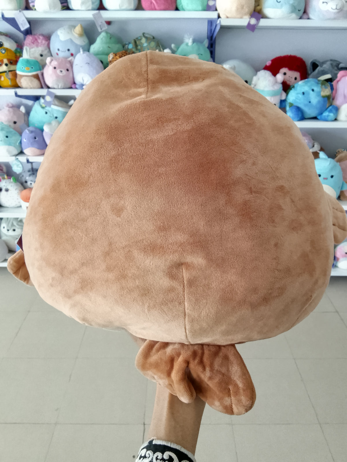 Kellytoy Squishmallows Bruce the Walrus brown plush toy.