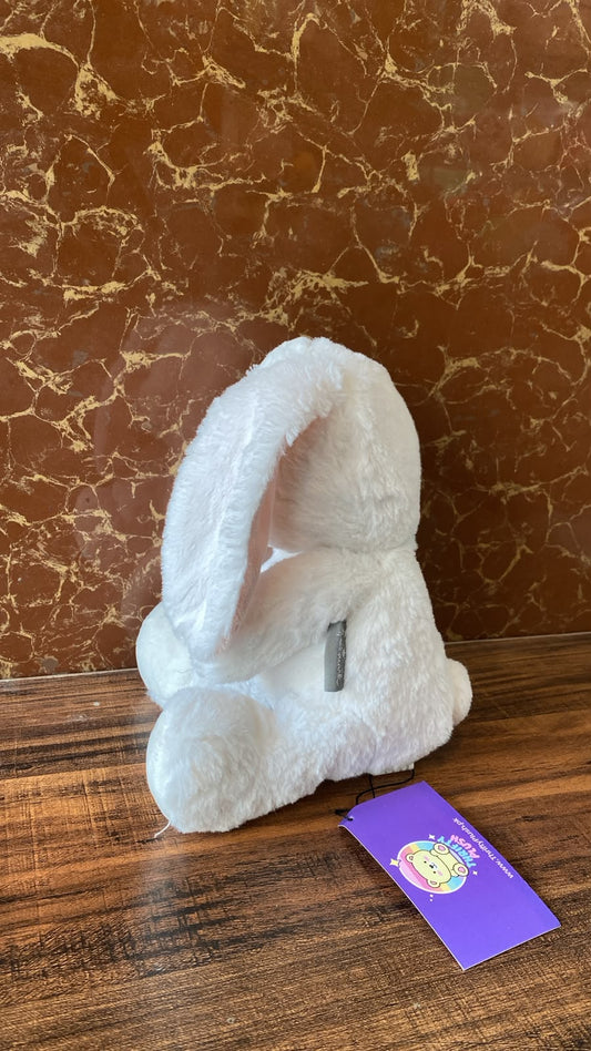 Parkdale Novelty Bunny Plush Toy