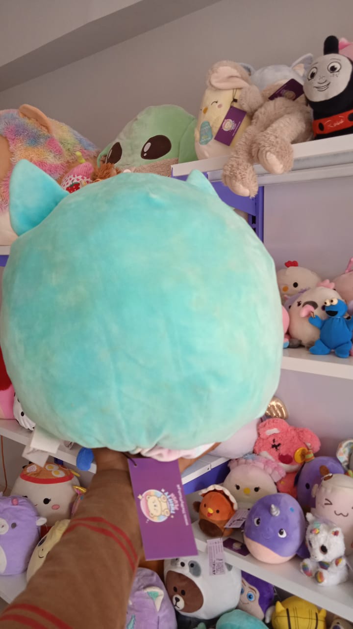 Winston the Owl, a character from the Squishmallows brand