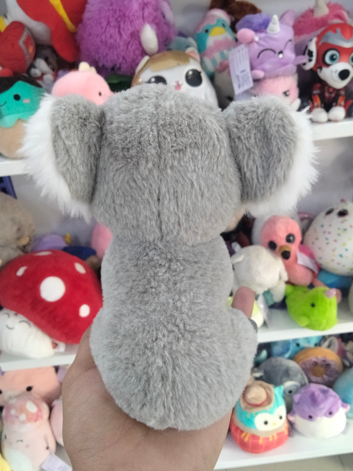 Beanie Boos Kookoo the Koala plush toy.