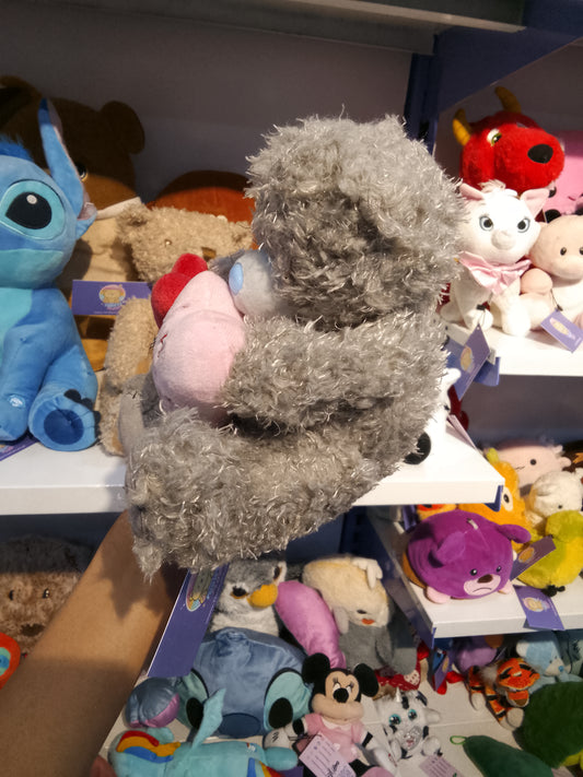 TattyTeddy bear Plush Toy