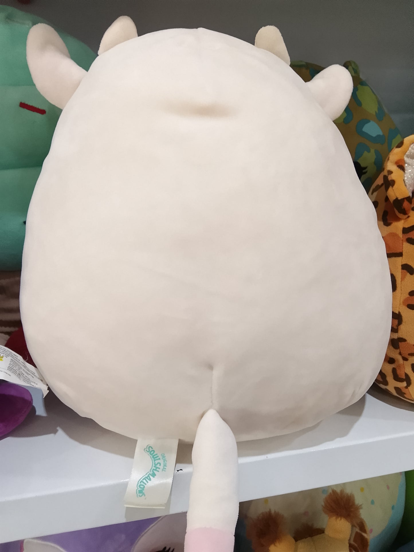 Squishmallows Caedyn the Cow plush toy.