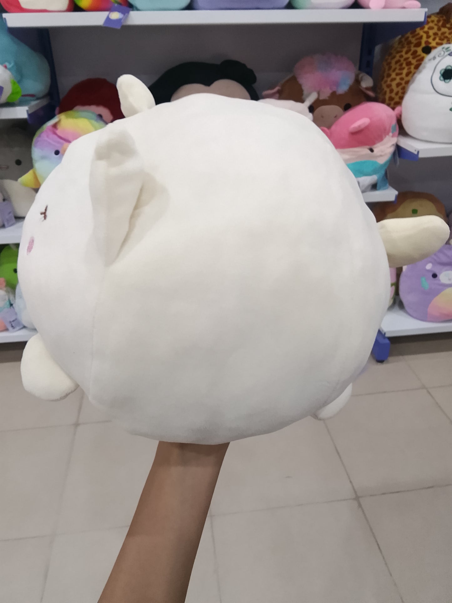 Tippy Rabbit PLush Toy.