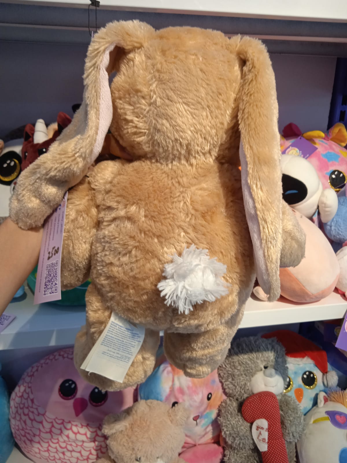 Pawlette™ Bunny Plush toy