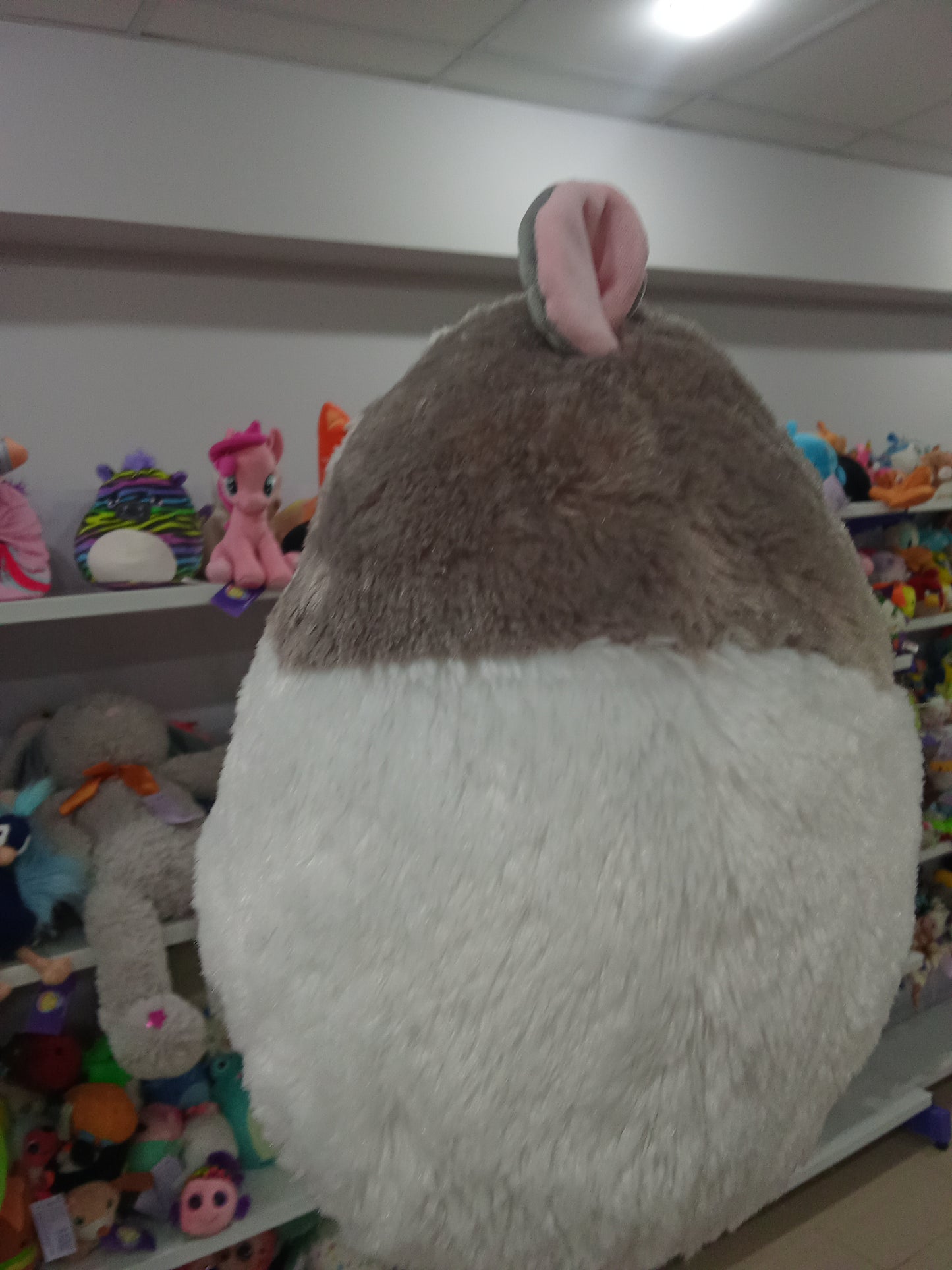 Squishmallows Fuzzamallow Everett The Guinea Pig Plush Toy.