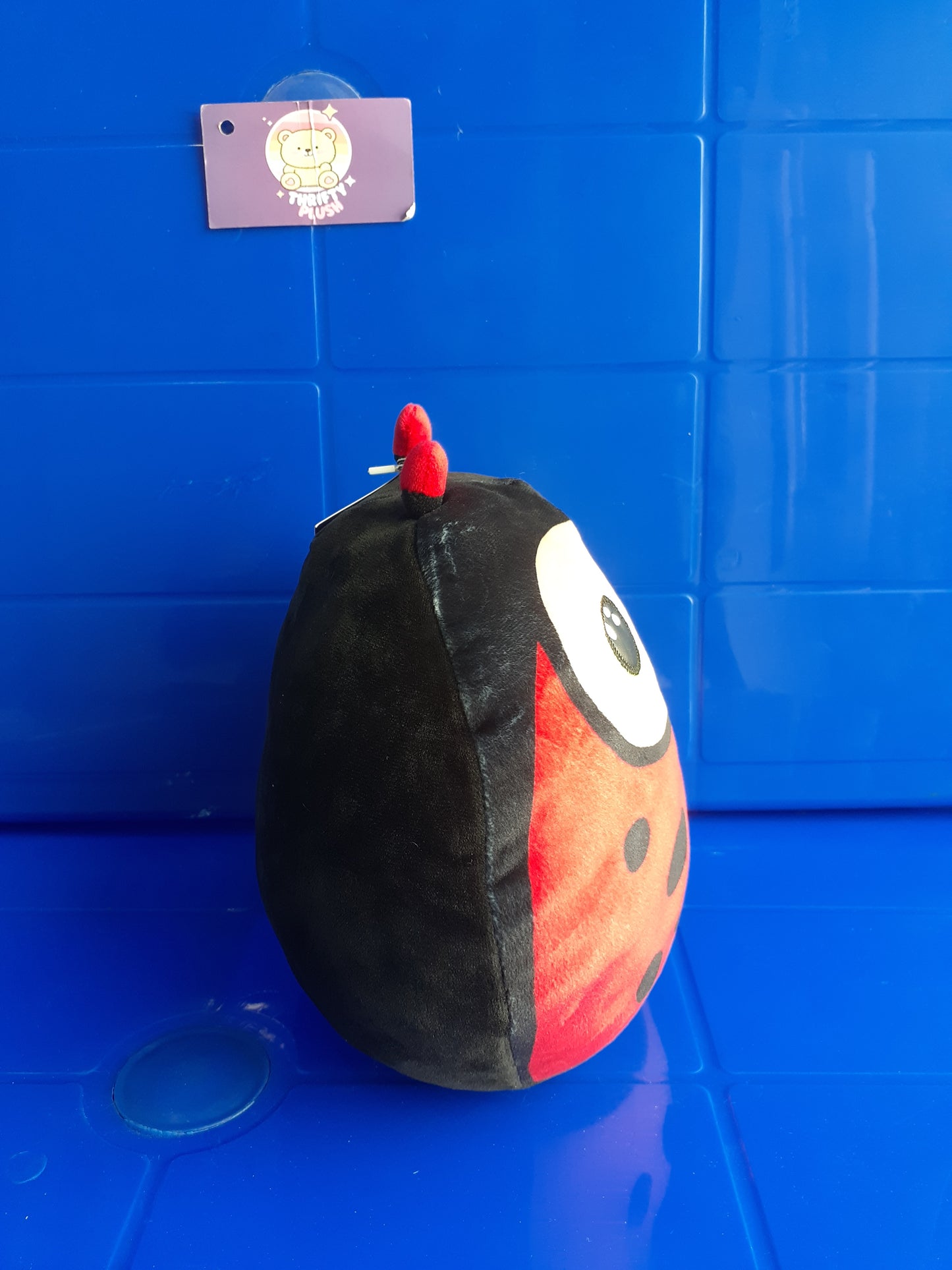 Ty Squish-a-Boo, Ladybug Plushie
