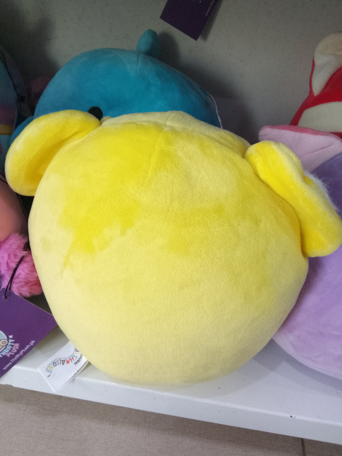 Squishmallows Donny the Koala from the Celebration Squad,yellow plush material and "Happy Birthday" text on the belly.