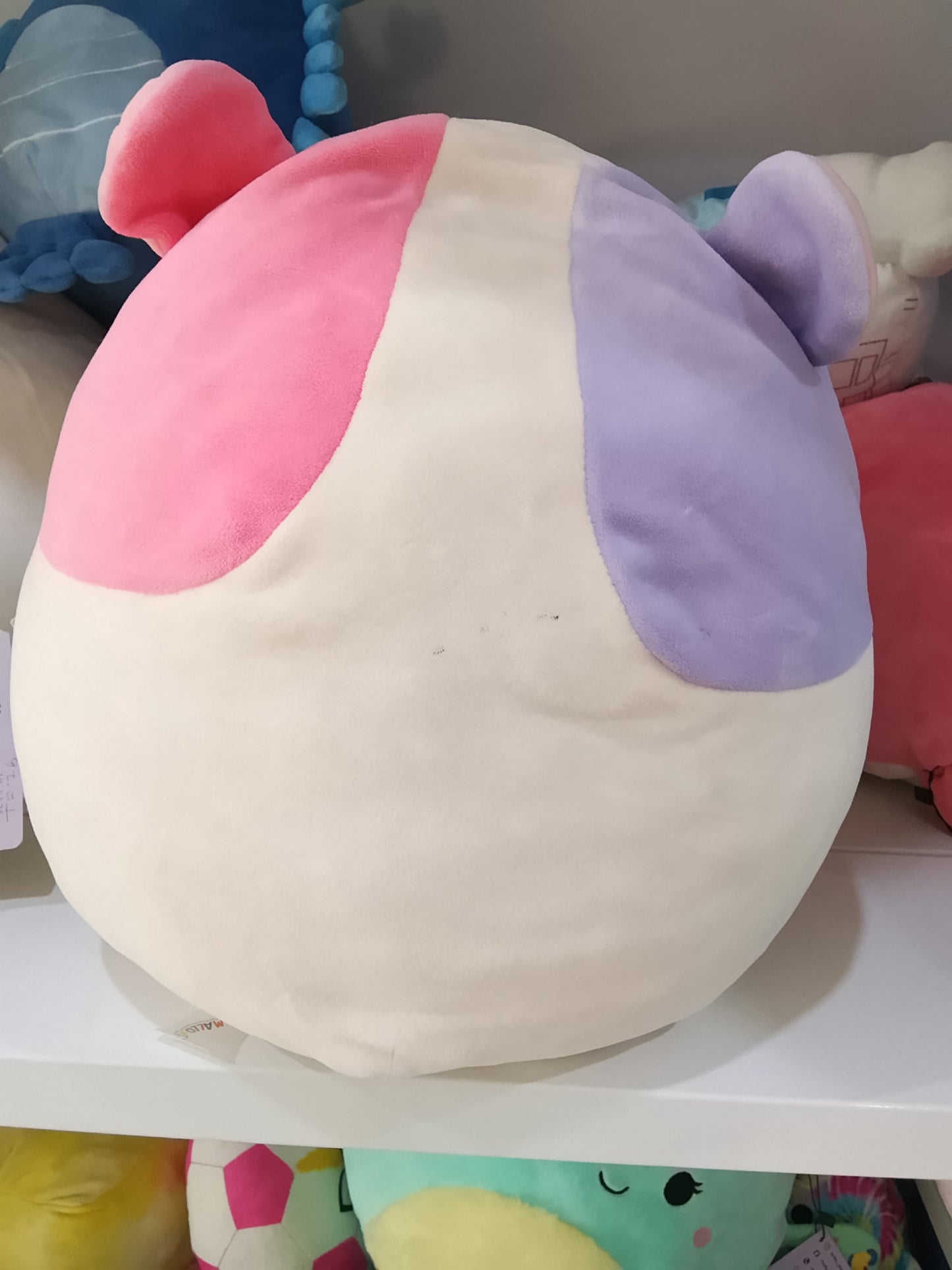 Squishmallows Niven the Guinea Pig plush toy from the Valentine Squad.