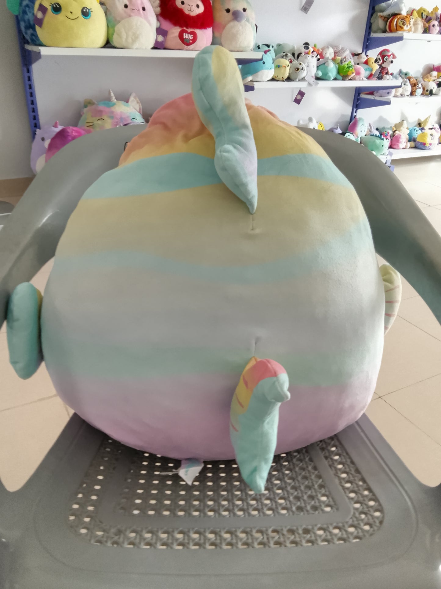 Squishmallows Canda the Rainbow Fish Plush Toy.