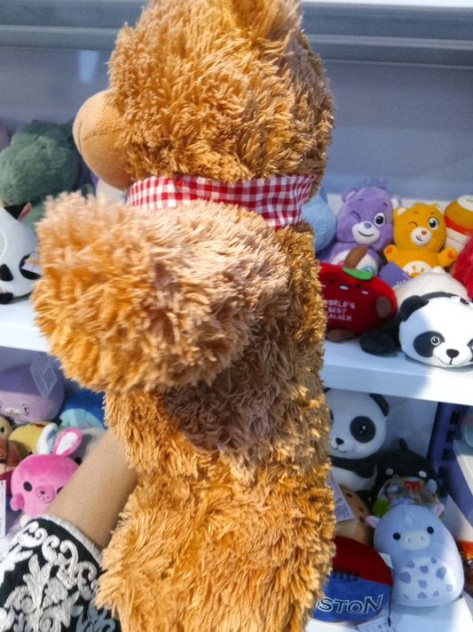 ofli Bear Plush Toy
