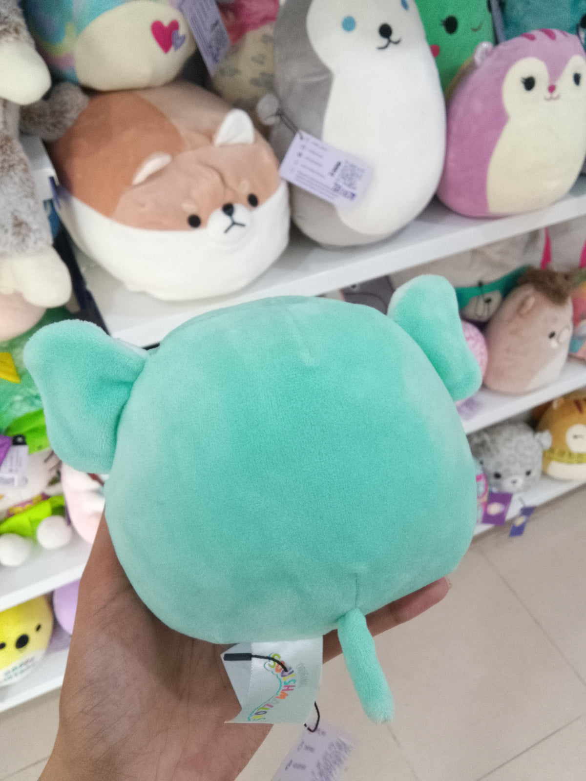 Squishmallows Zoo Squad Diego the Teal Elephant plush toy.