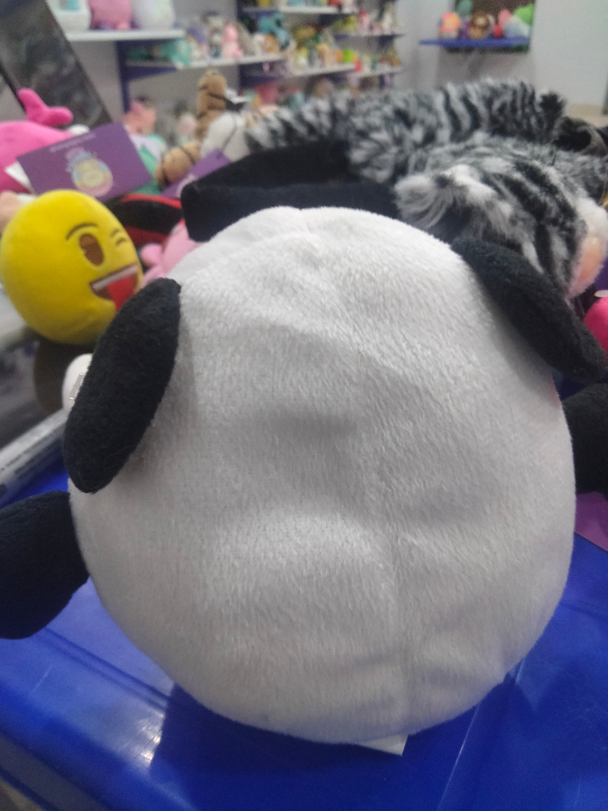 small round plush panda toy with blue eyes.