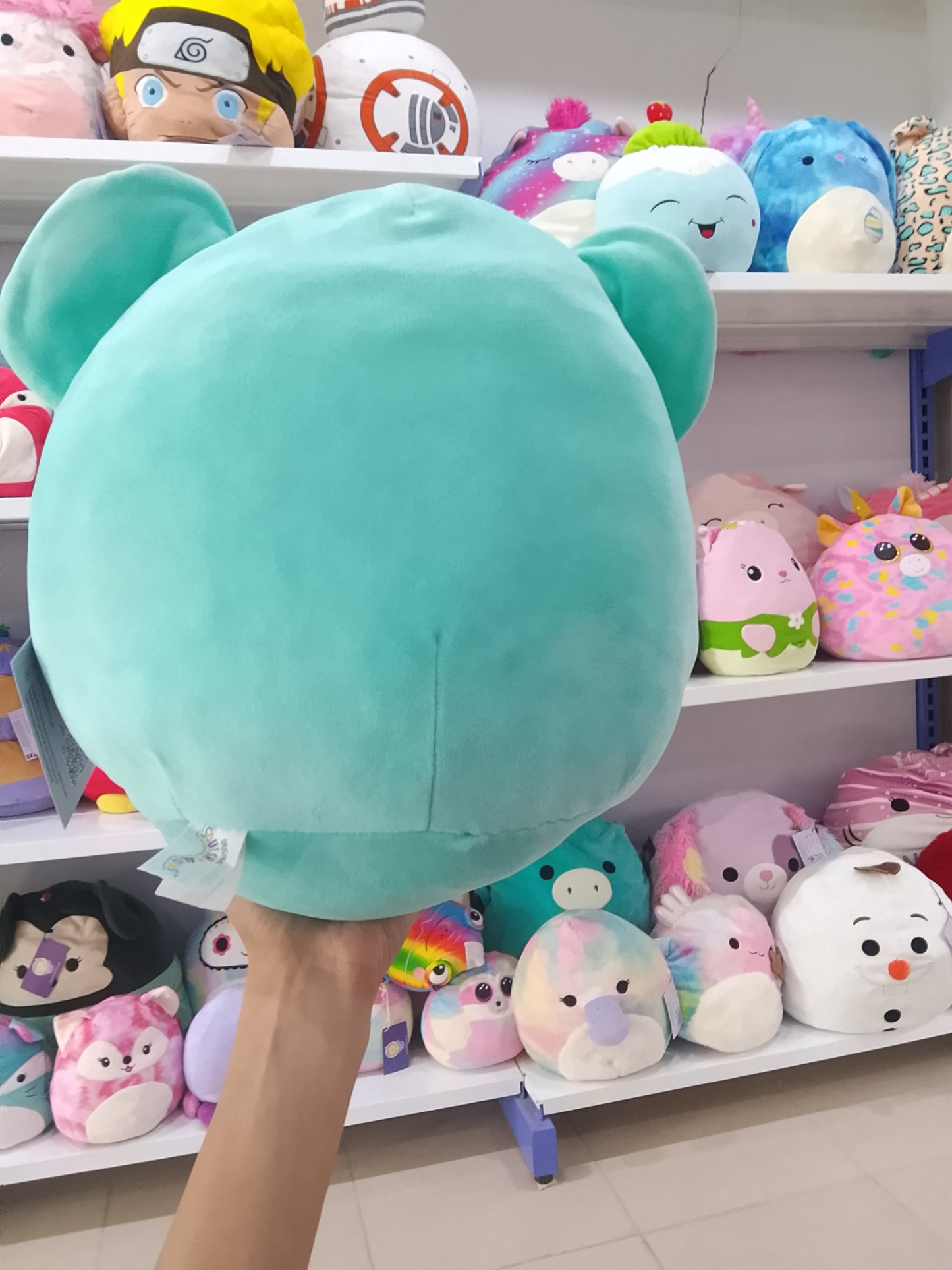Squishmallows Kevin the Teal Koala Plush Toy.