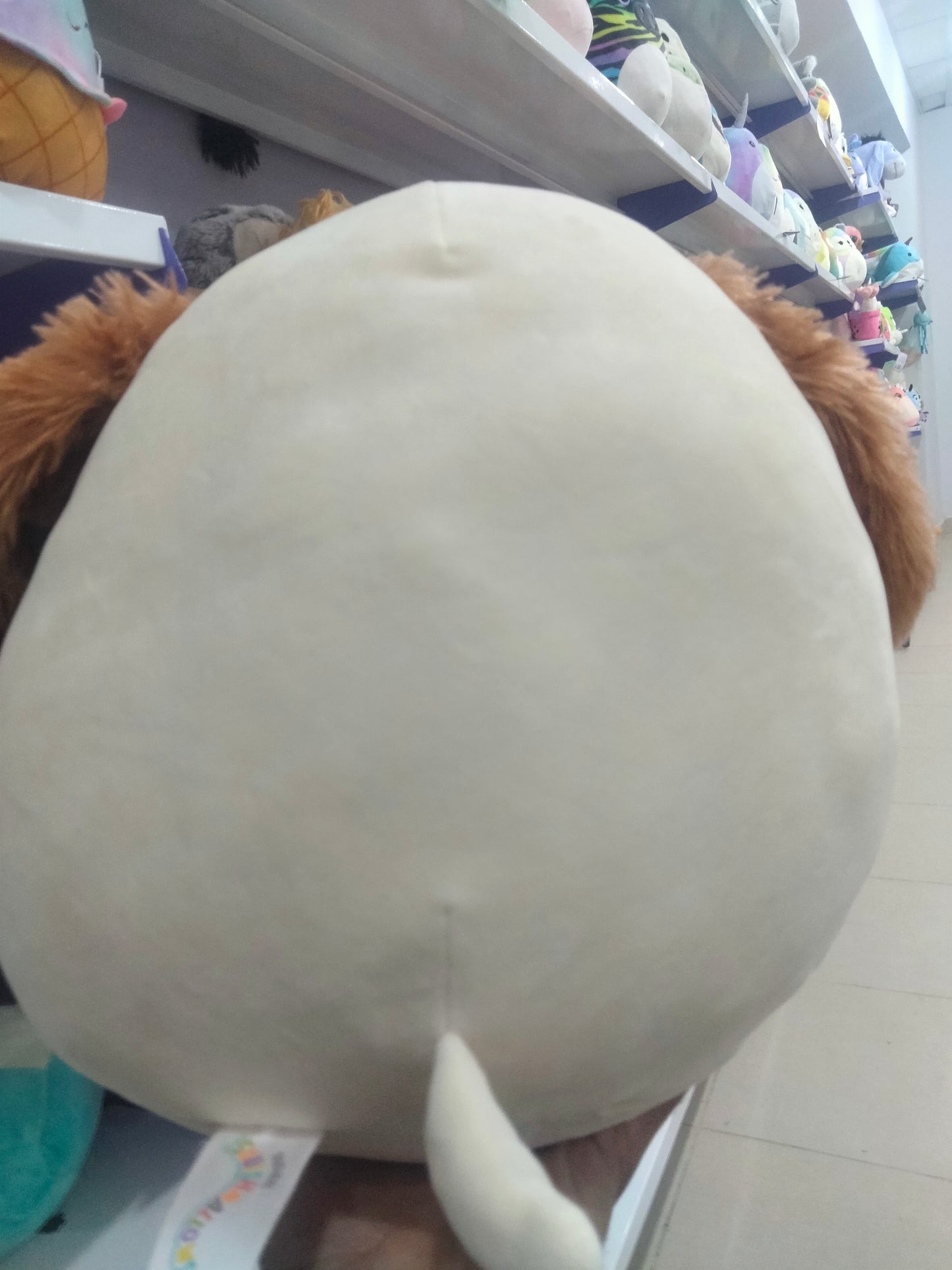 Squishmallows plush toy featuring Harris the Dog