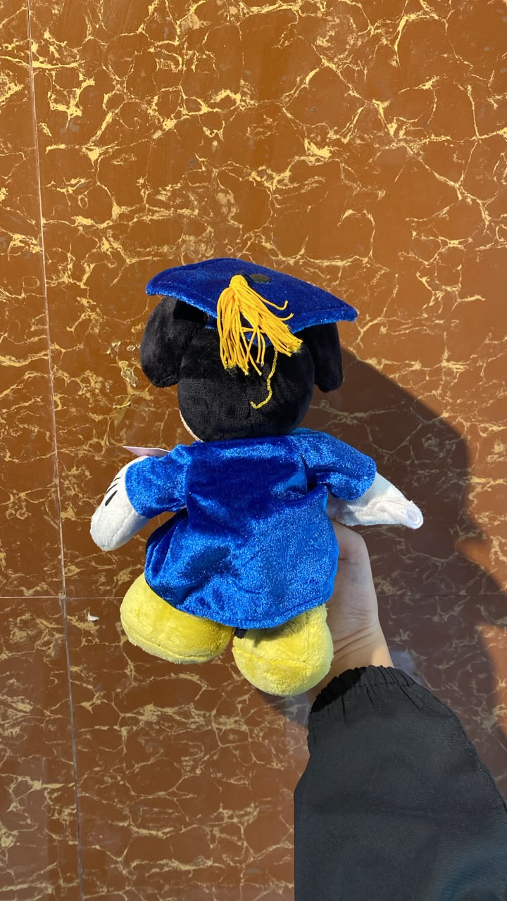 Graduation Mickey Mouse Plush Toy