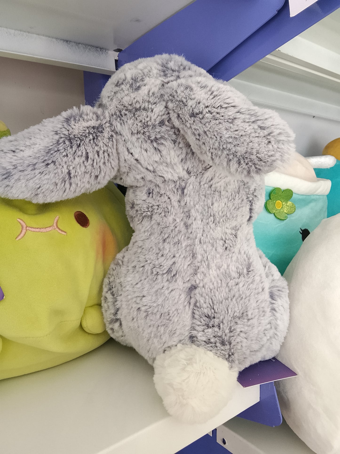 Grey bunny rabbit plush toy.