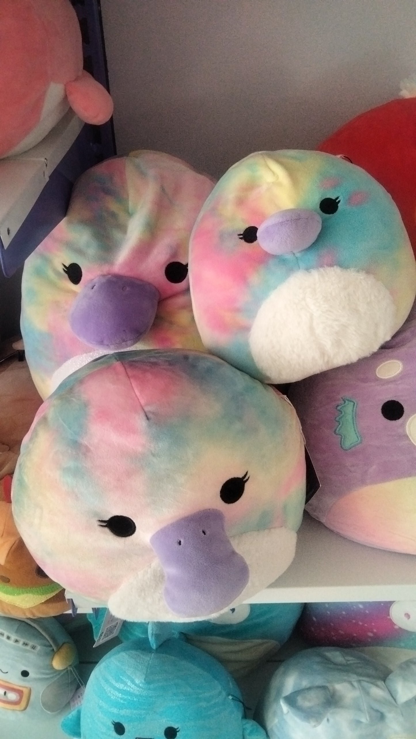 Brindall The Platypus, a Squishmallow Plushie