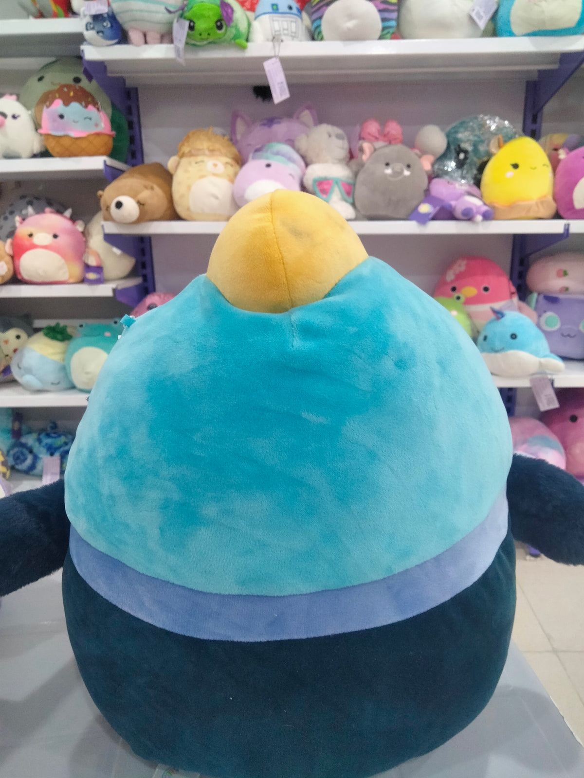 Melrose The Cassowary Squishmallow Plush toy.