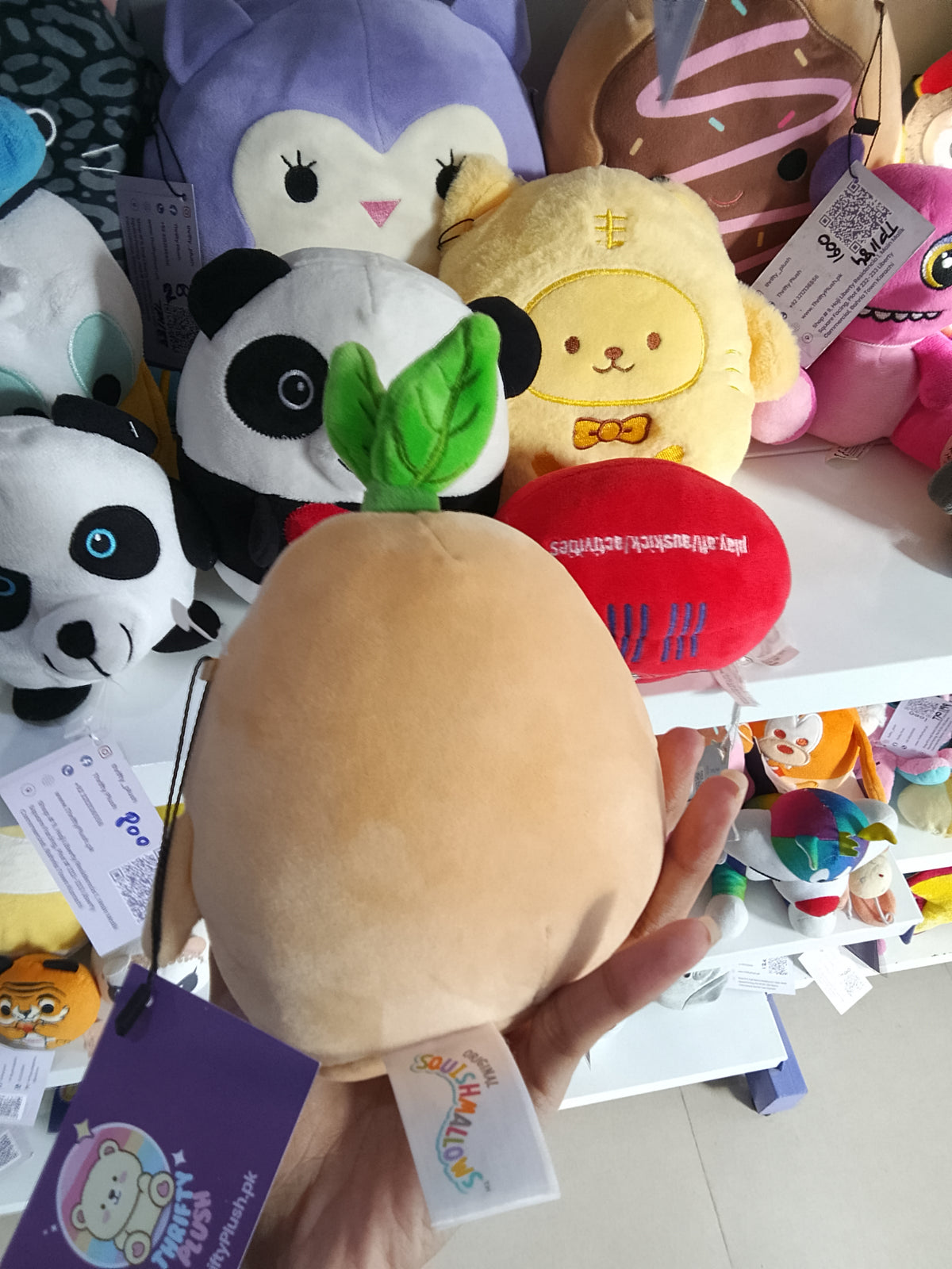 Squishmallows Jyri the Ginseng plush toy.