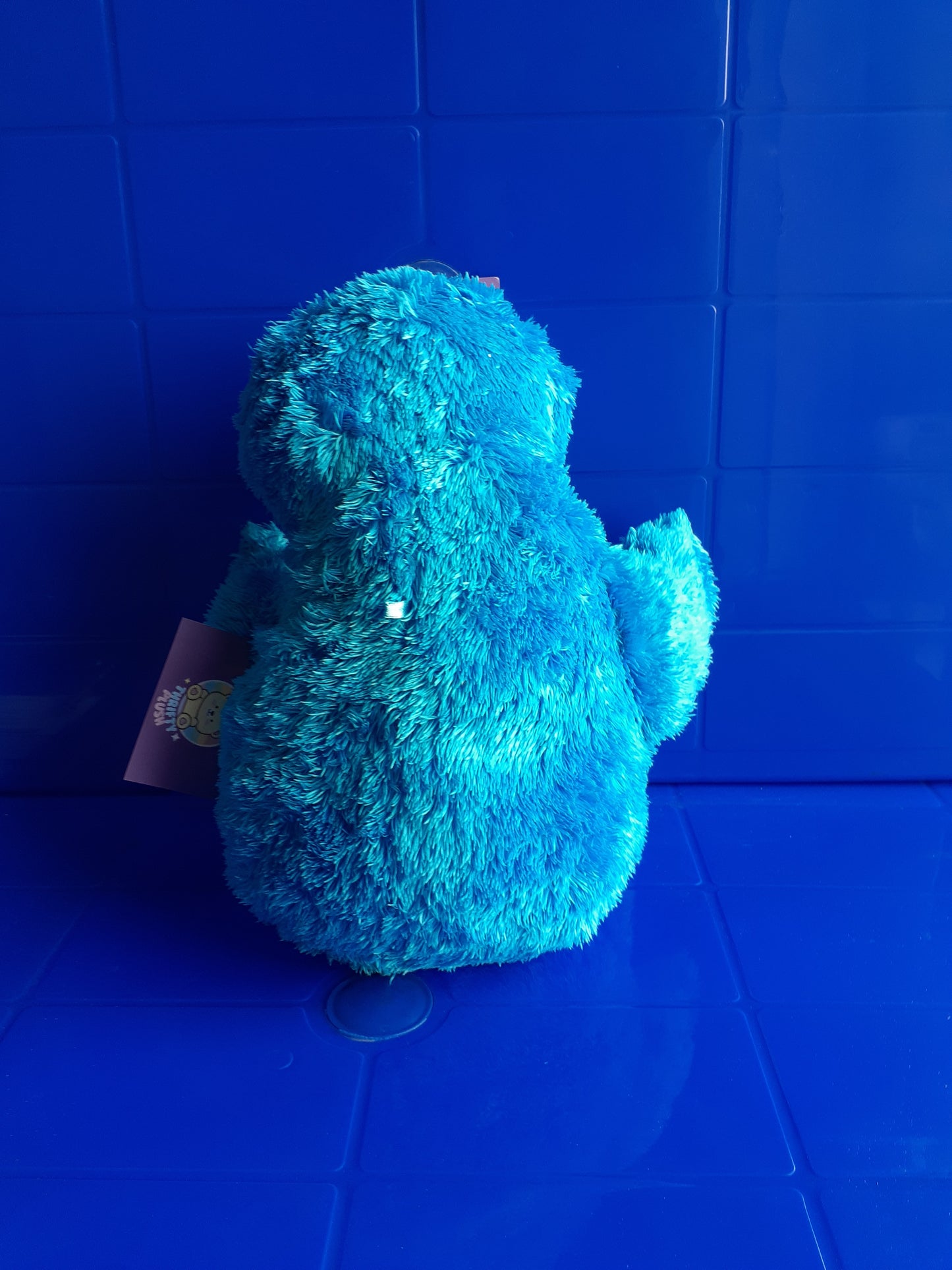 Cookie Monster Plushie Toy From Sesame Street
