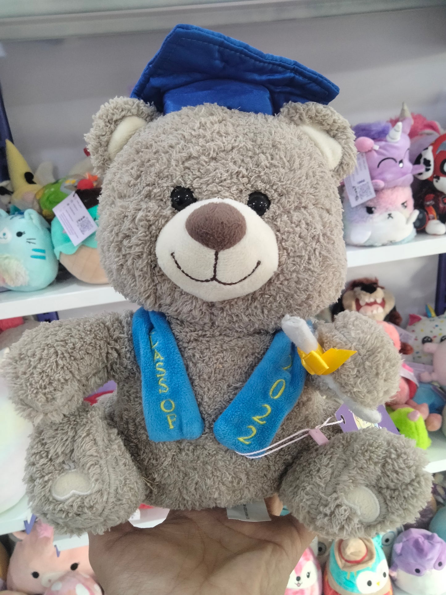Celebrate Graduation 2022 Plush Brown Bear.