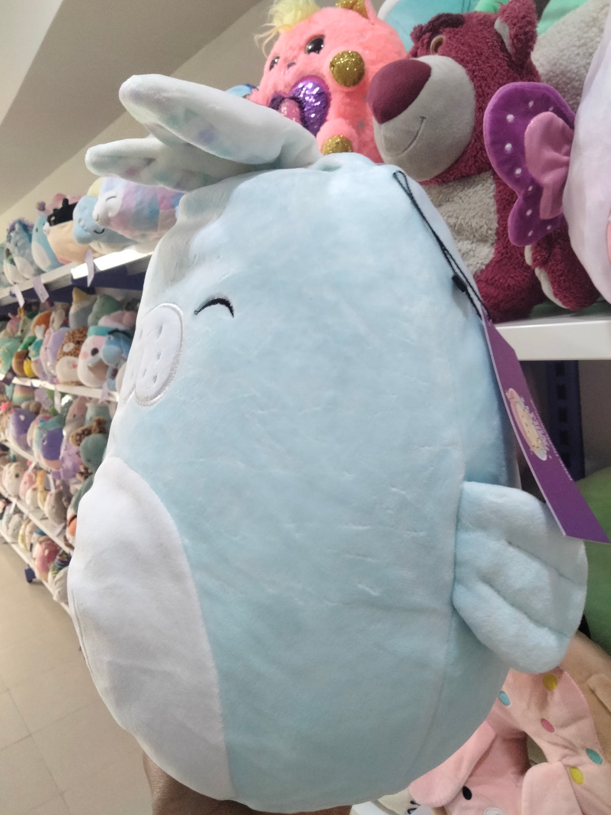 Squishmallows 8-inch plush toy of Abel the Manatee