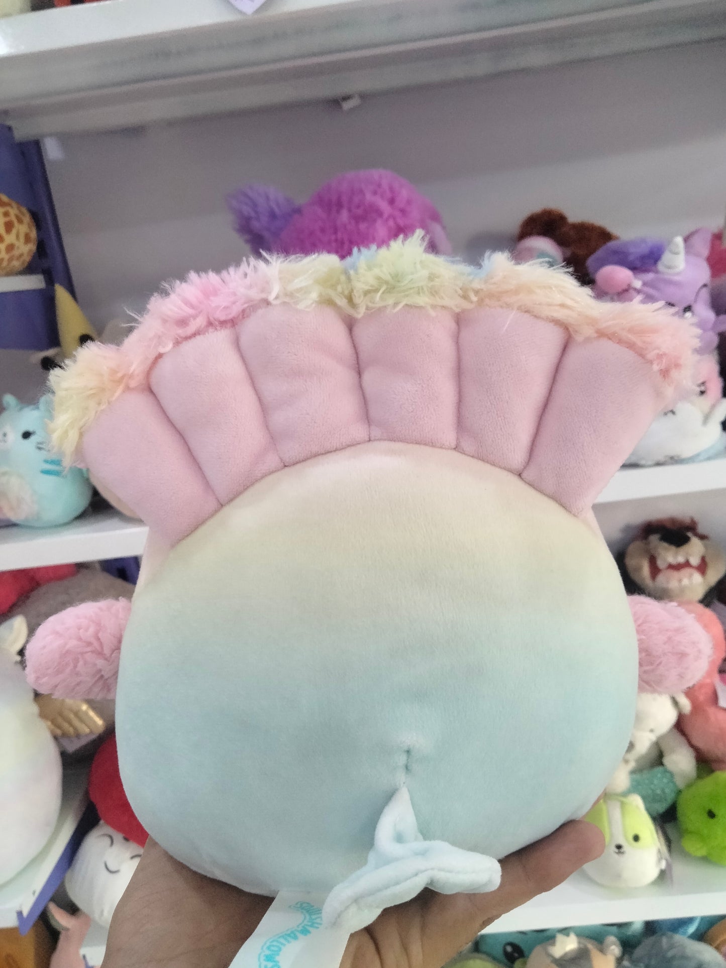 Briannika the Peacock plush toy.