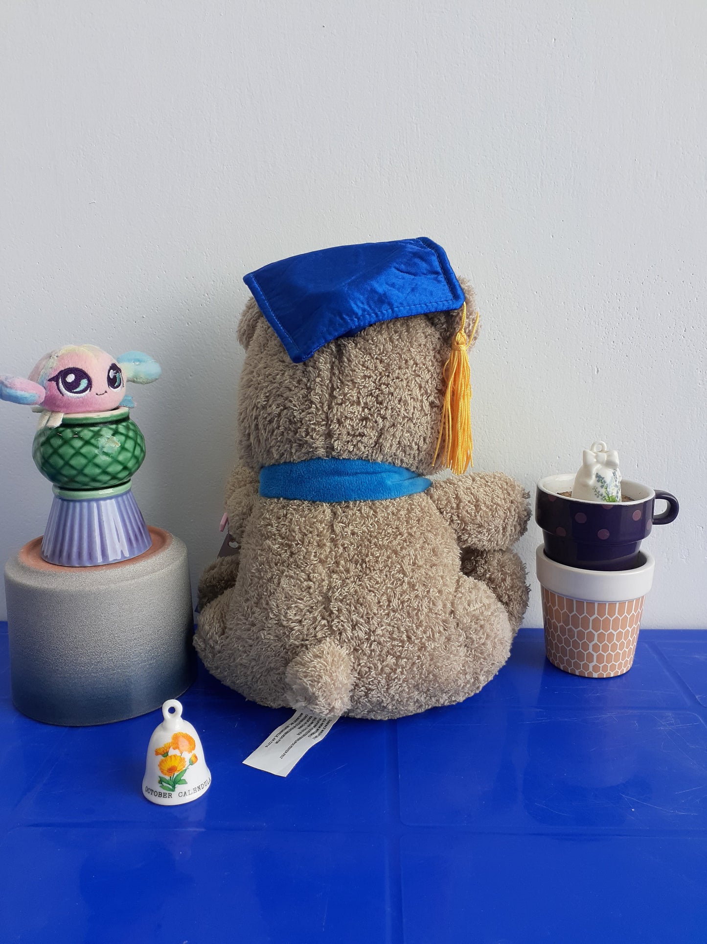 Celebrate Graduation 2023 Plush Brown Bear with Cap