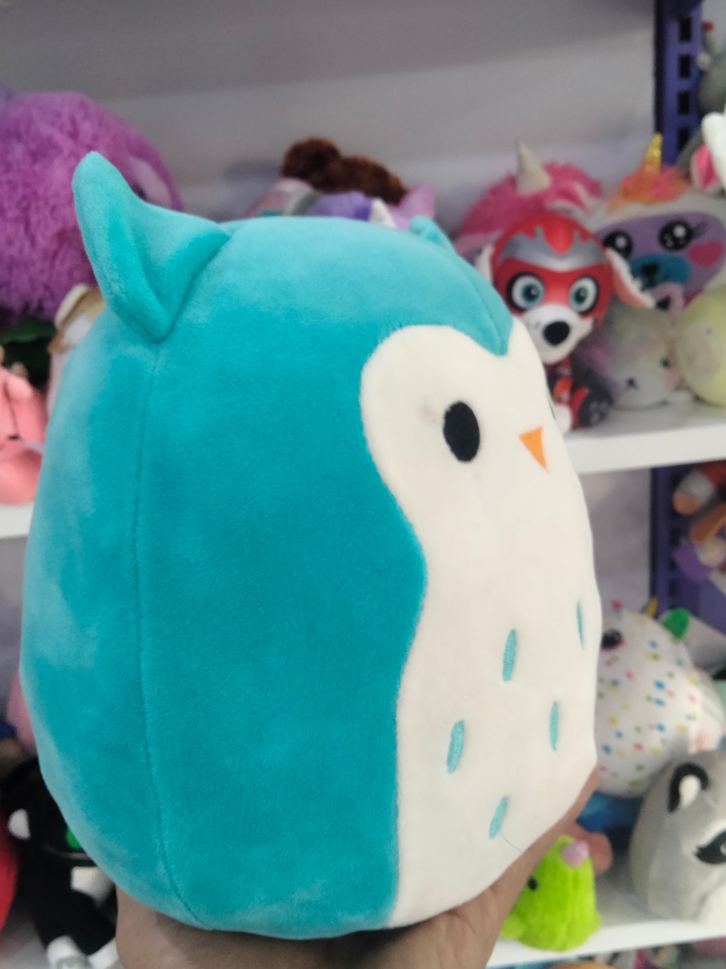 Kellytoy Squishmallows Winston the Teal Owl plush toy.