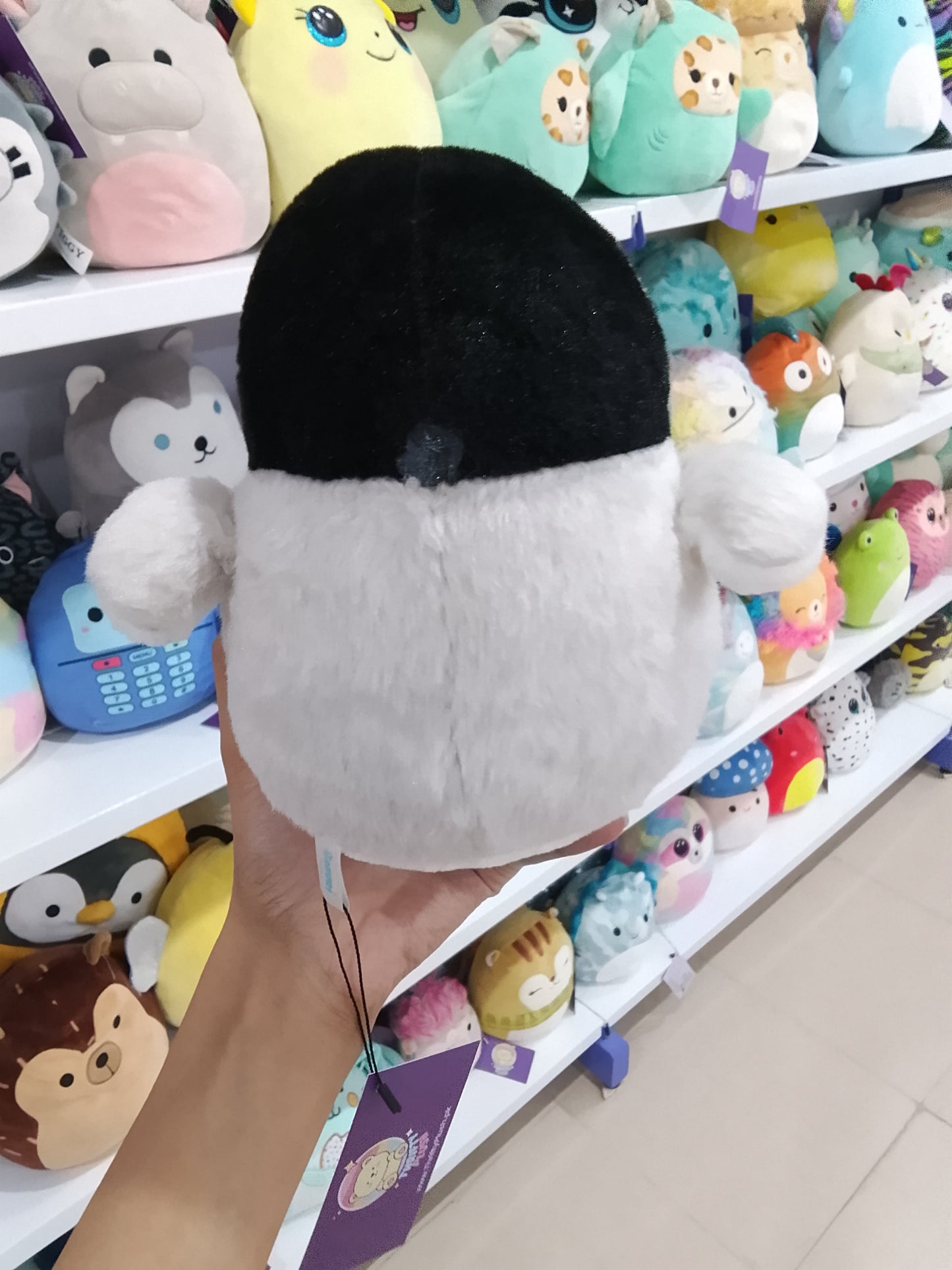 Penguin Plush Toy.
