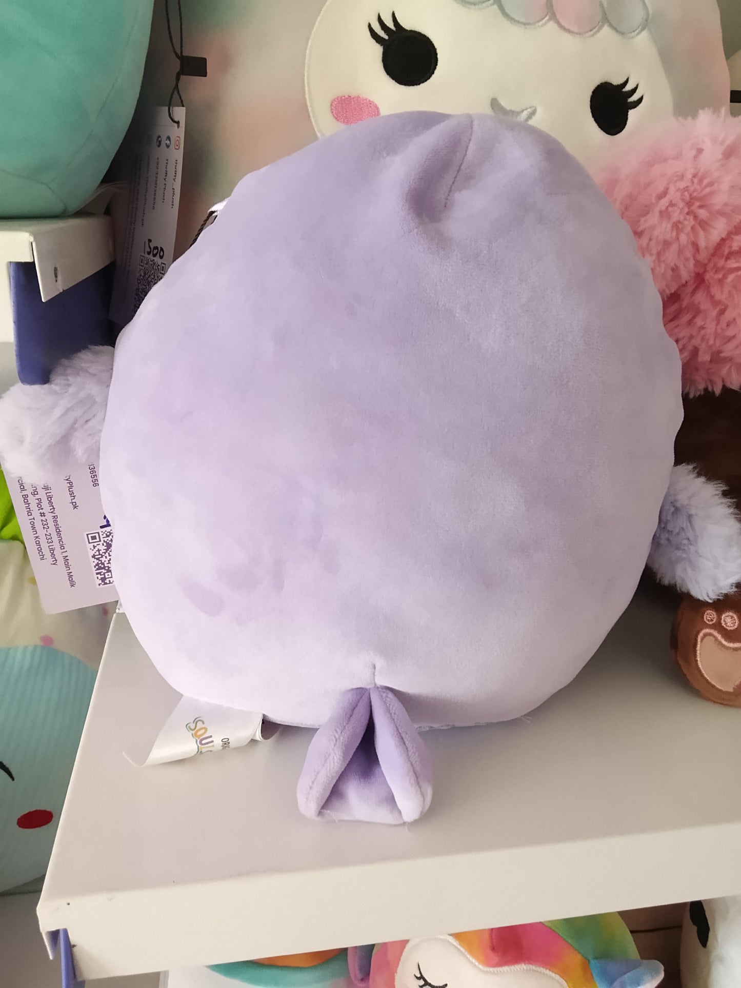Squishmallows Scarlito the Barn Owl plush toy.