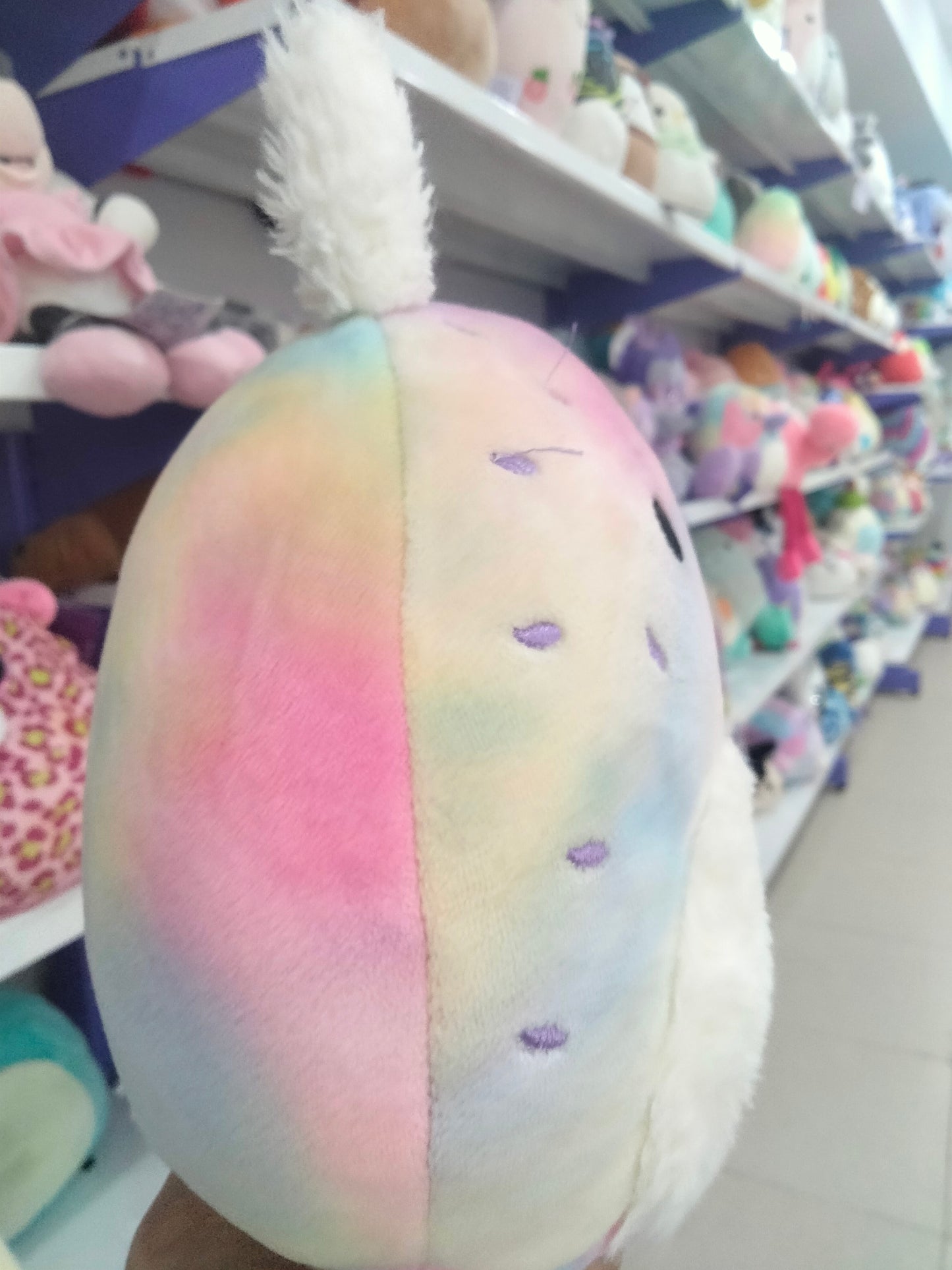 Squishmallows The Sea Bunny