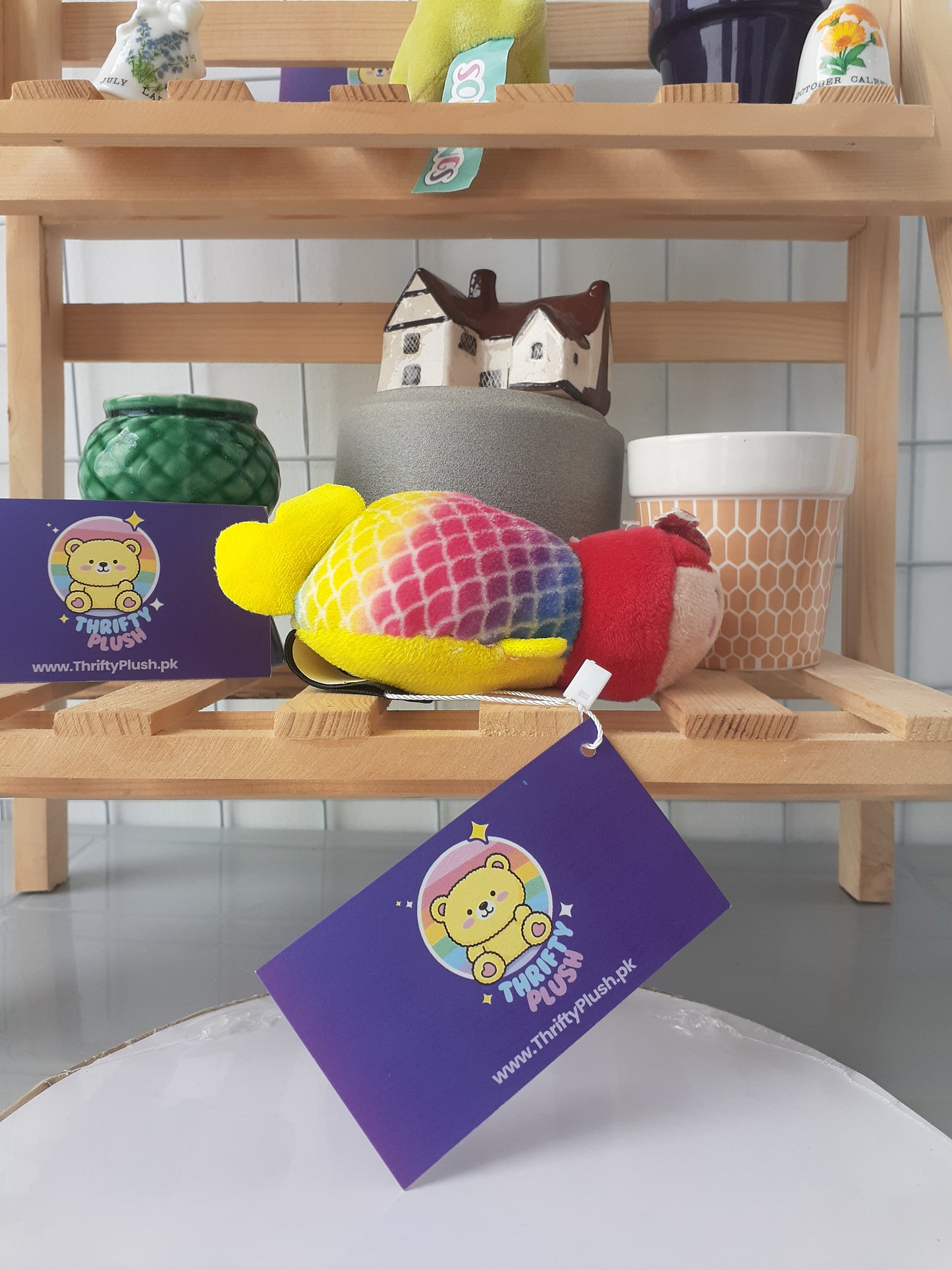 Colorful, Preloved Plush Toy