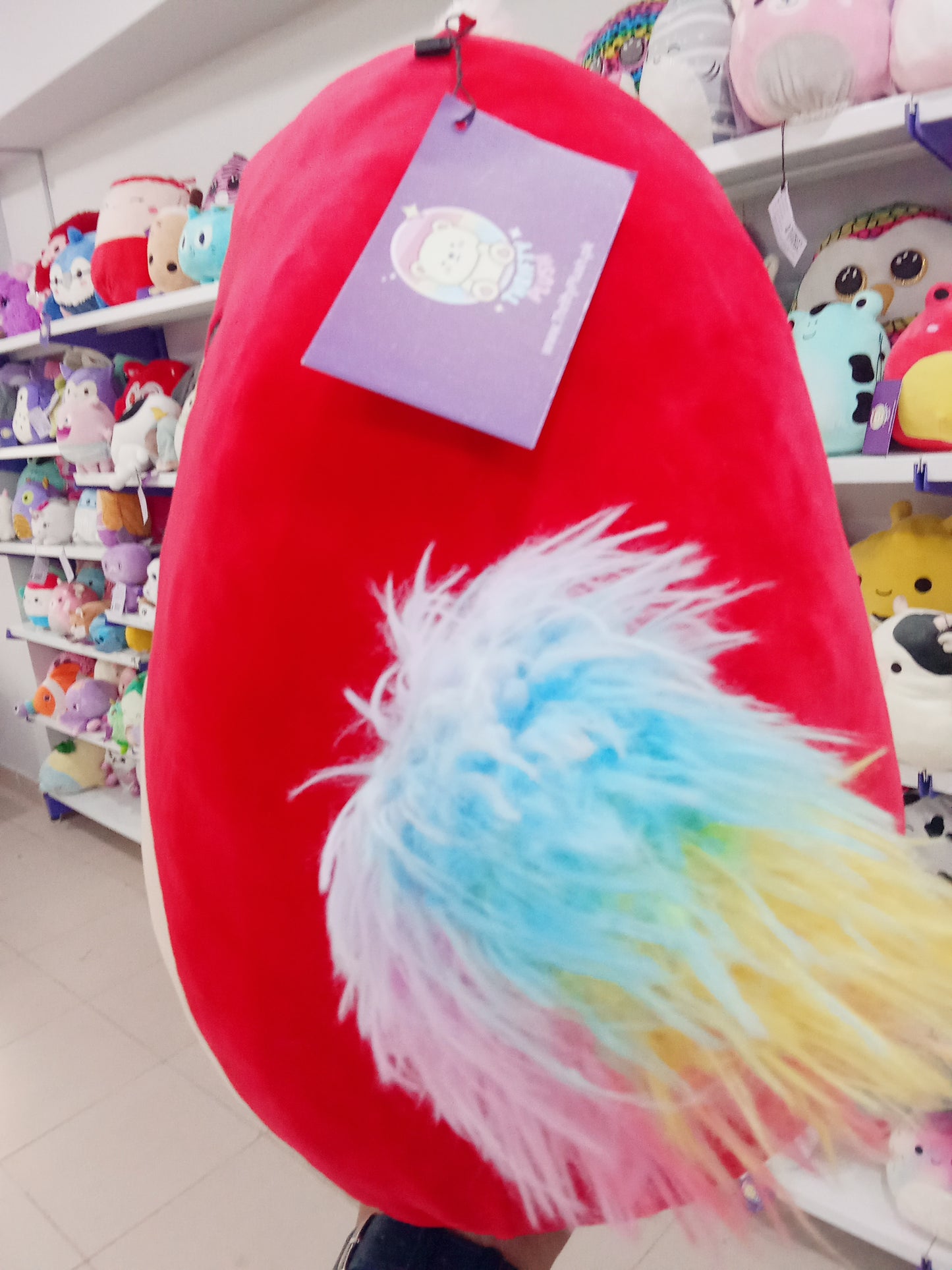 Paco The Red Parrot Squishmallow Plush Toy.